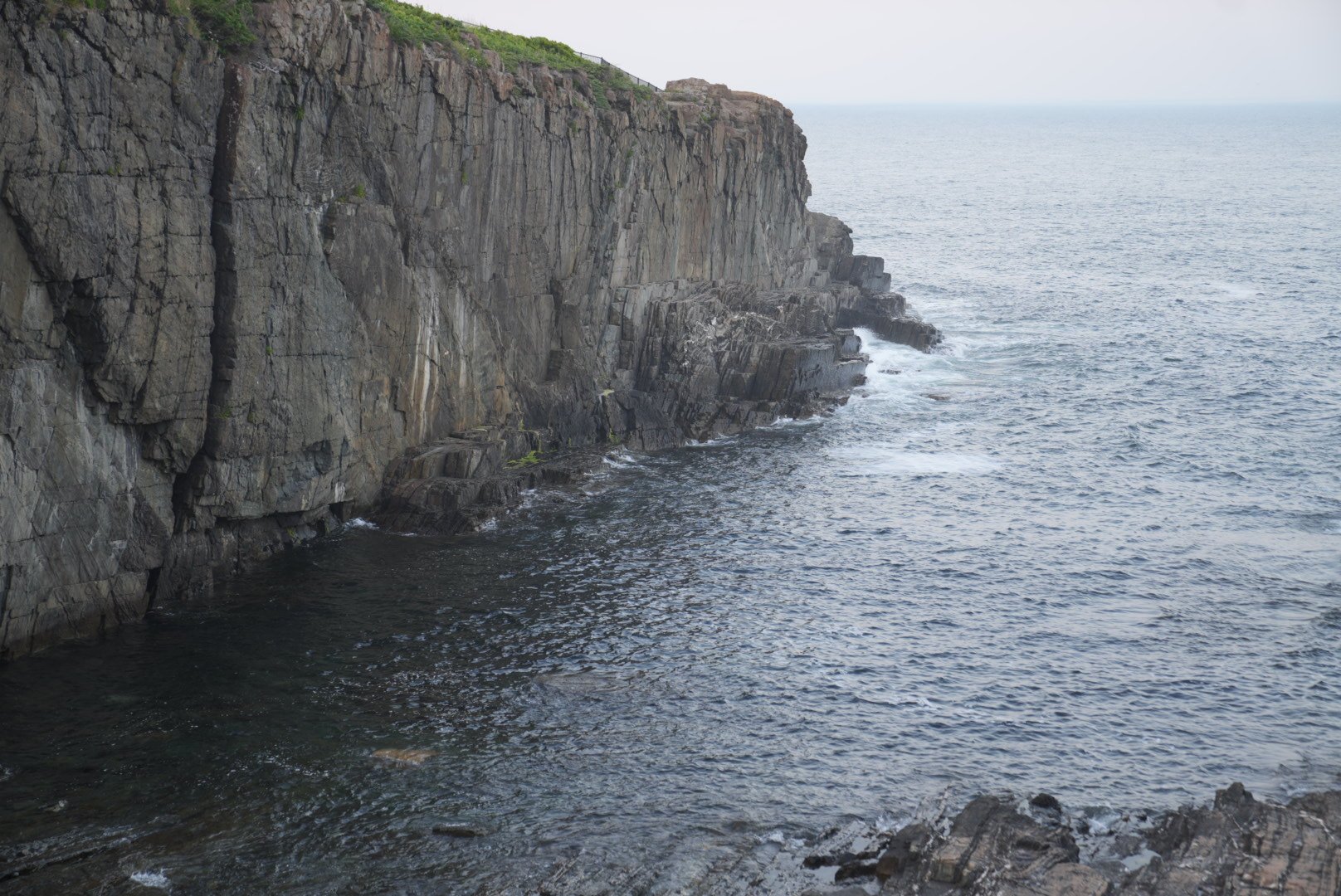 DSC00947.jpeg