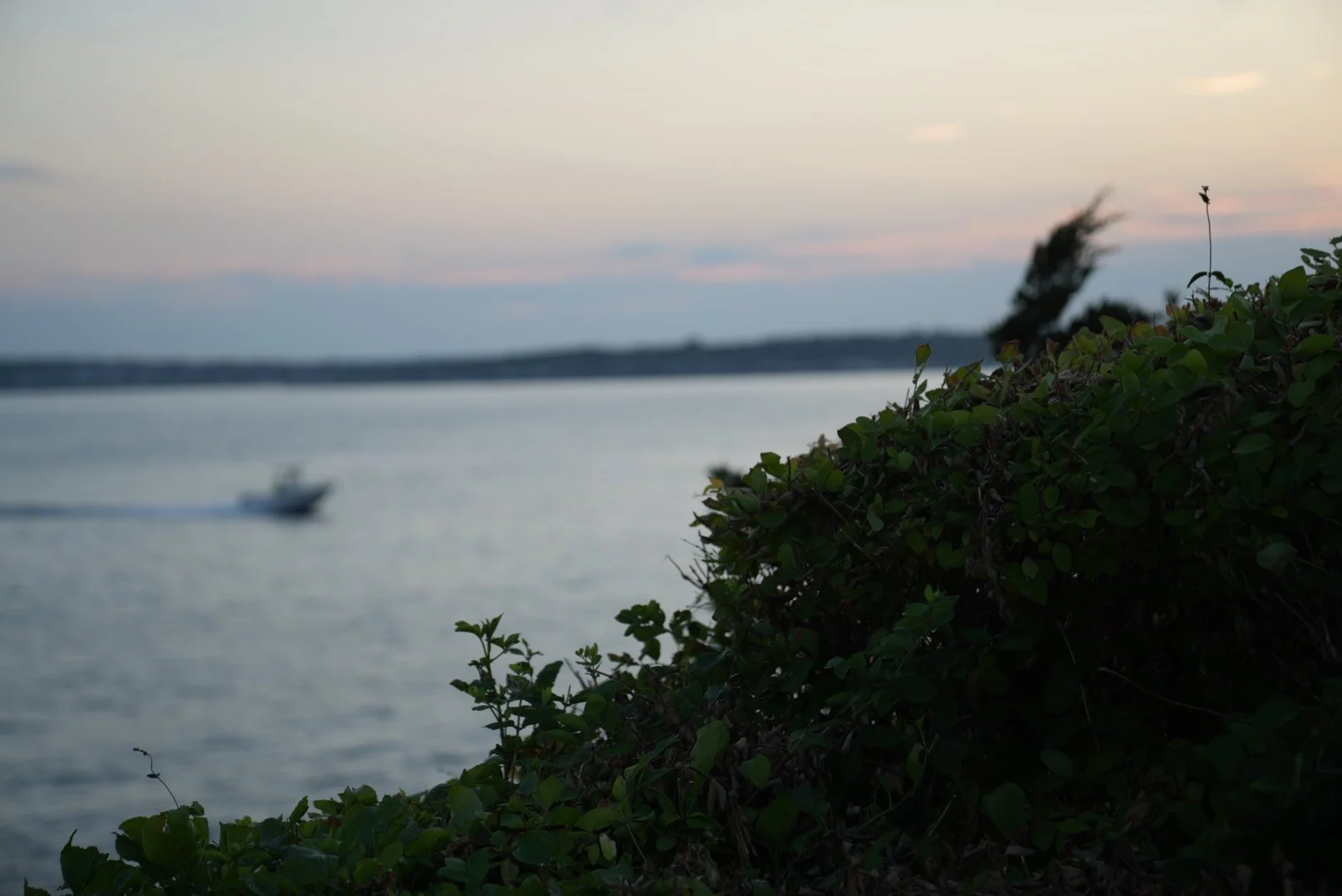 DSC00449.jpeg