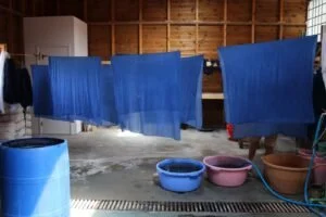 Atelier-Indigo.jpeg