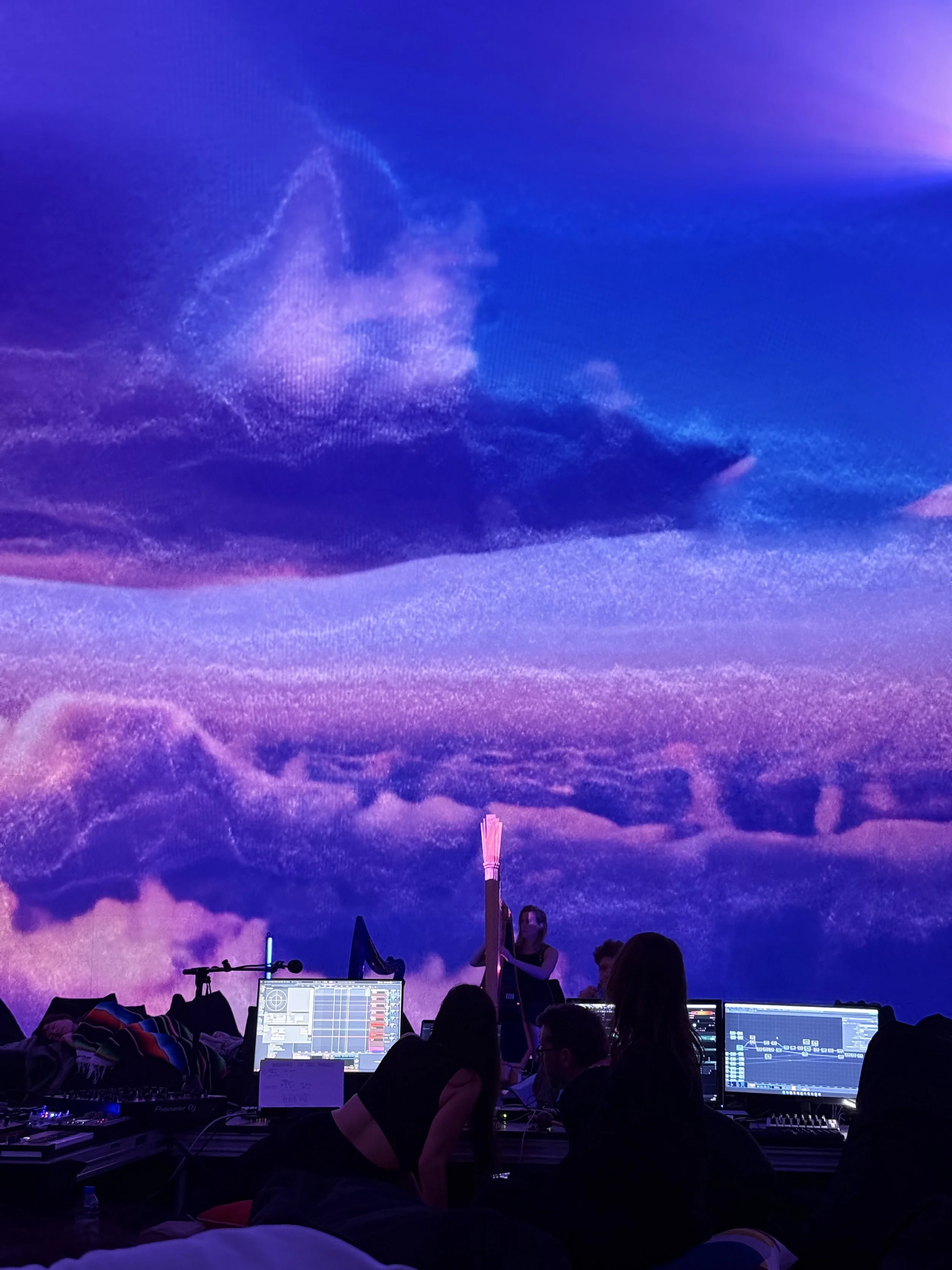 Flying Dream Purple.jpg