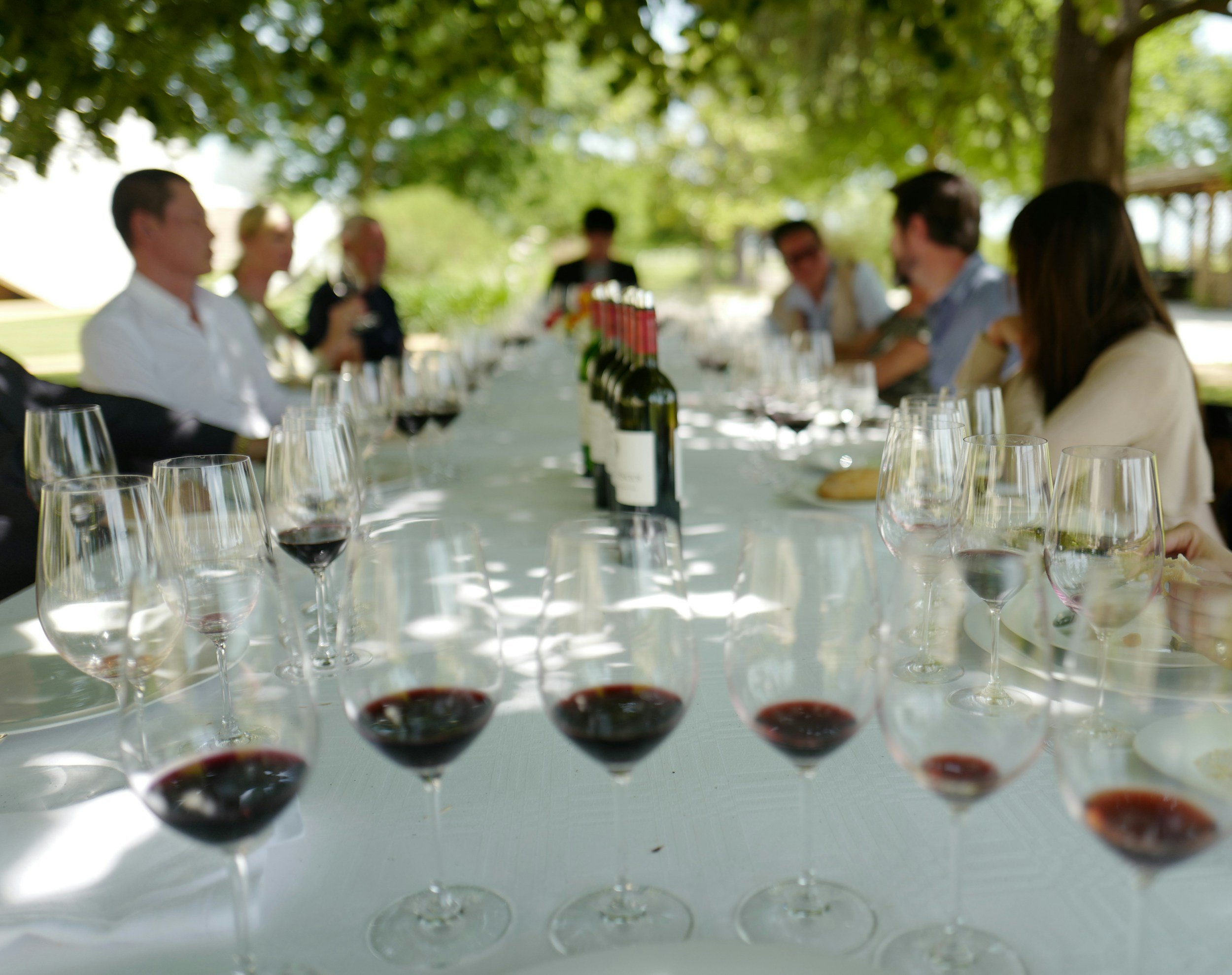 A long outdoor table set for a wine tasting under a tree, with multiple glasses of red wine and bottles in the background, surrounded by people.
