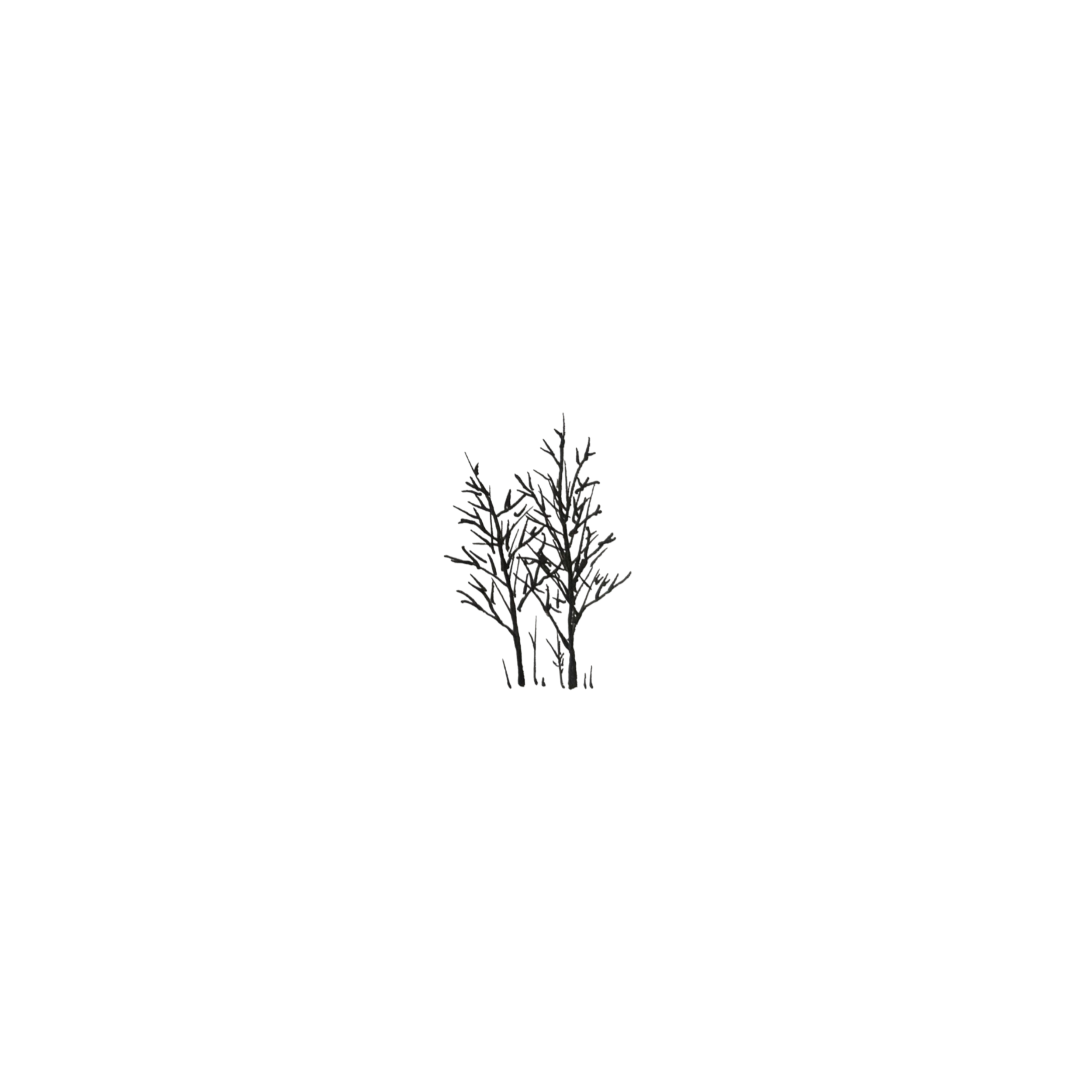 Untitled design (17).png