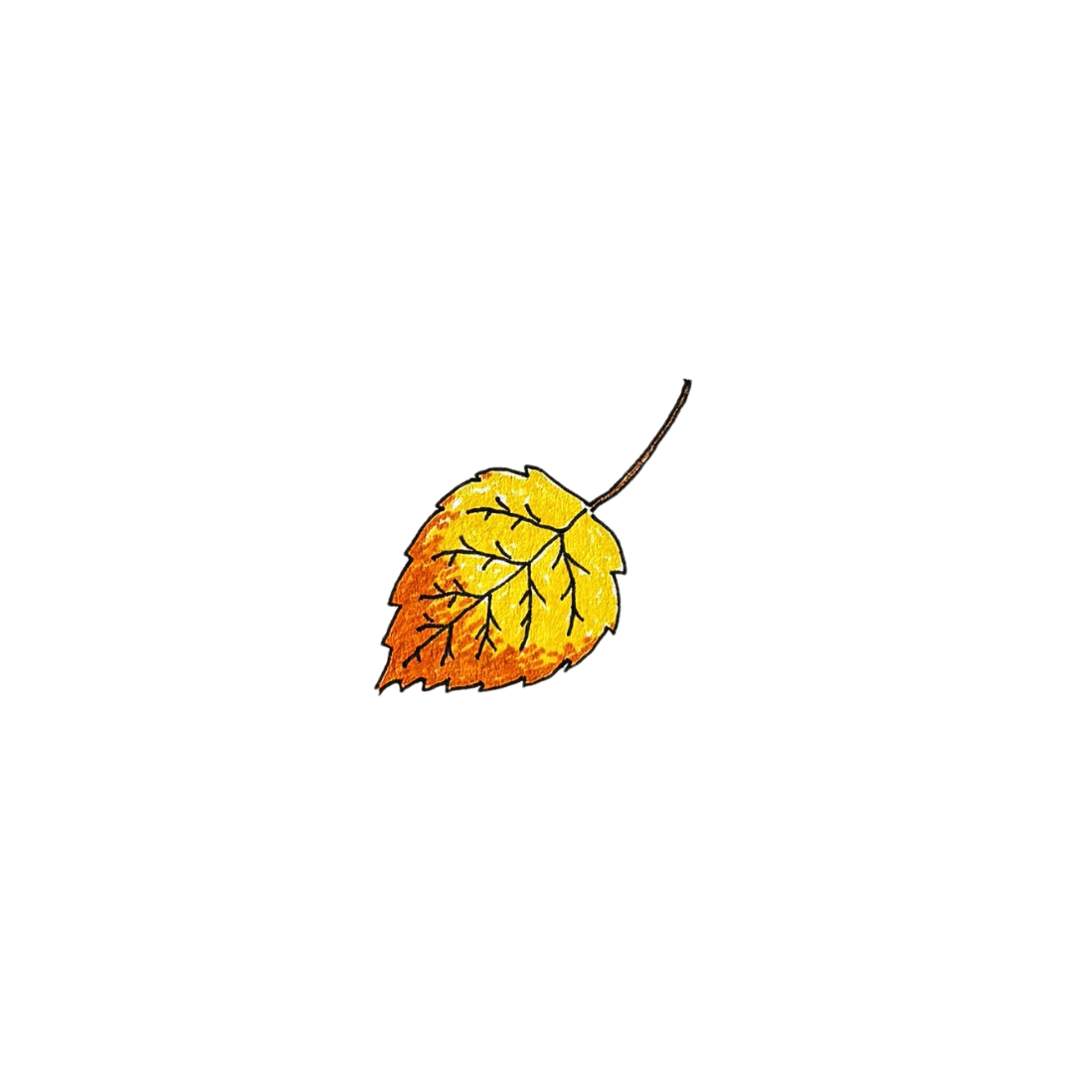 Untitled design (4).png