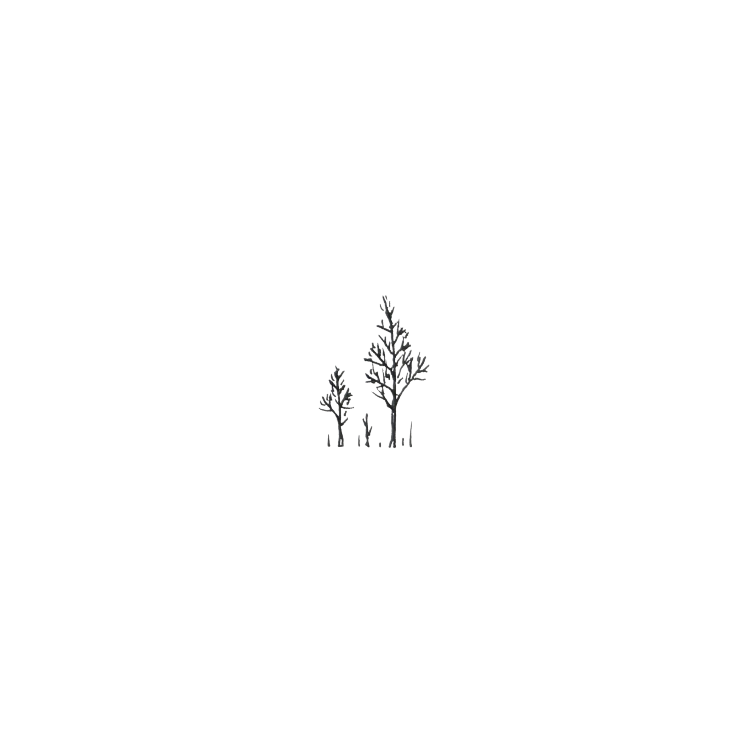 Untitled design (47).png