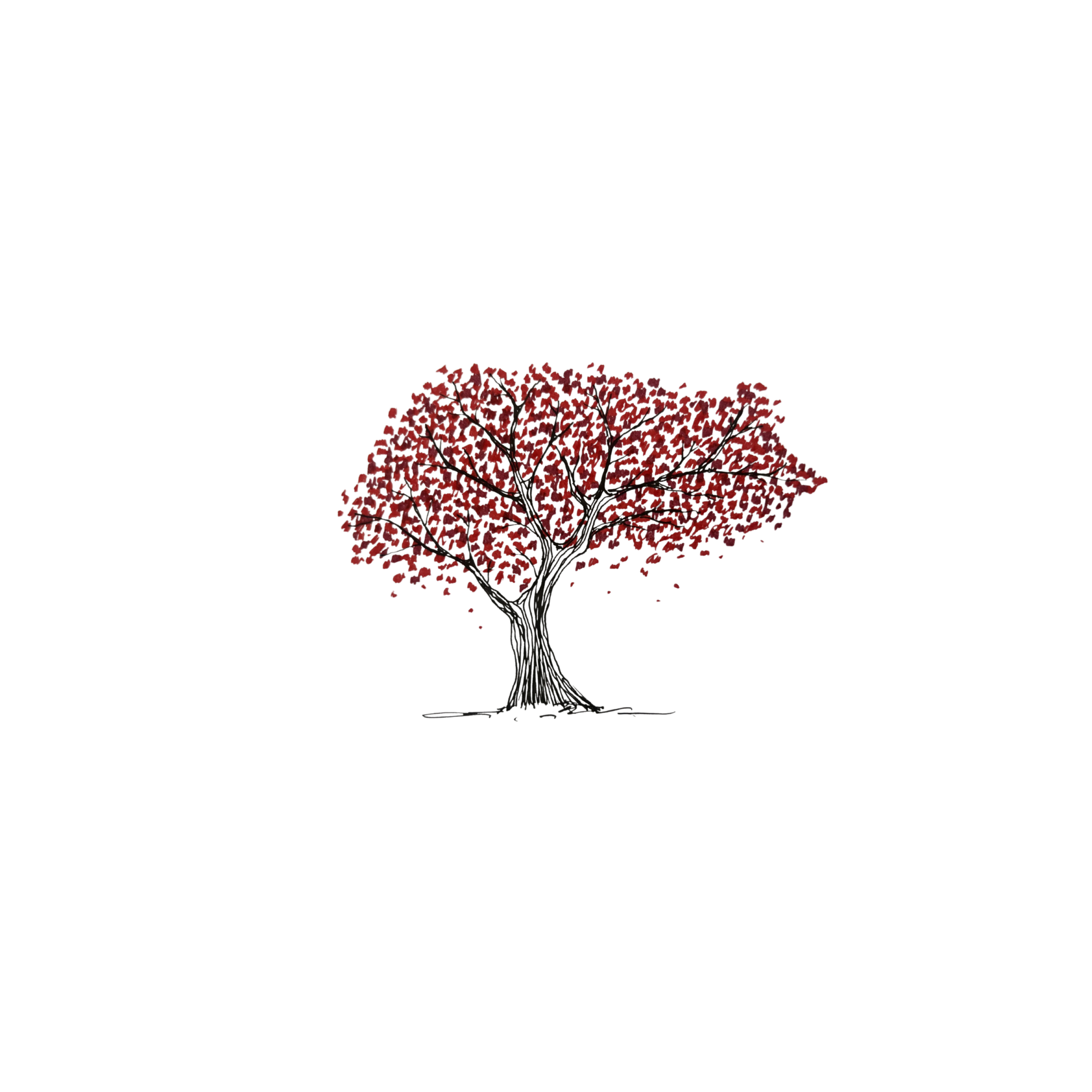 Untitled design (9).png