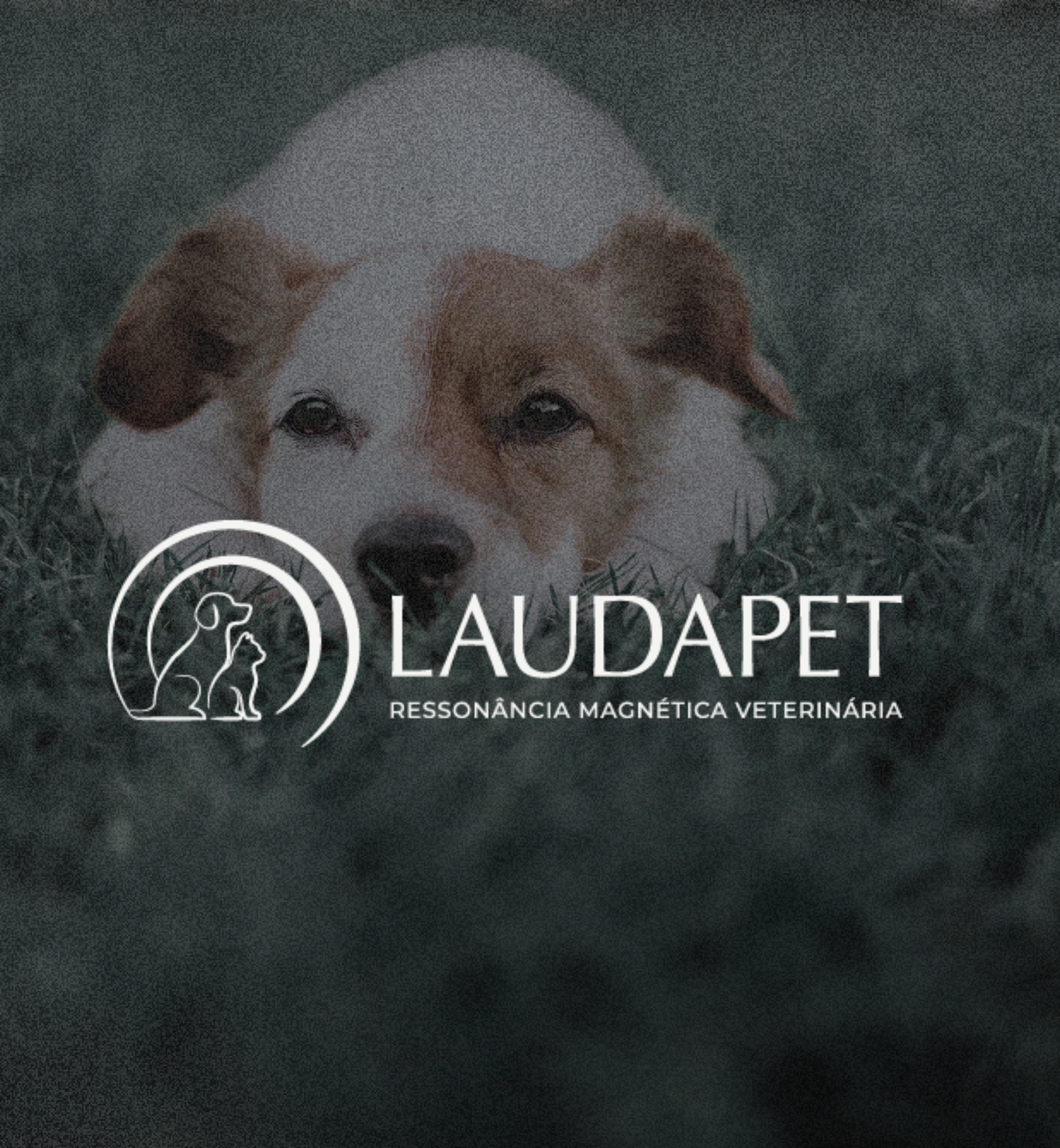 LAUDAPET: Chega em Florianópolis a primeira Clínica de Ressonância Magnética Veterinária de Santa Catarina