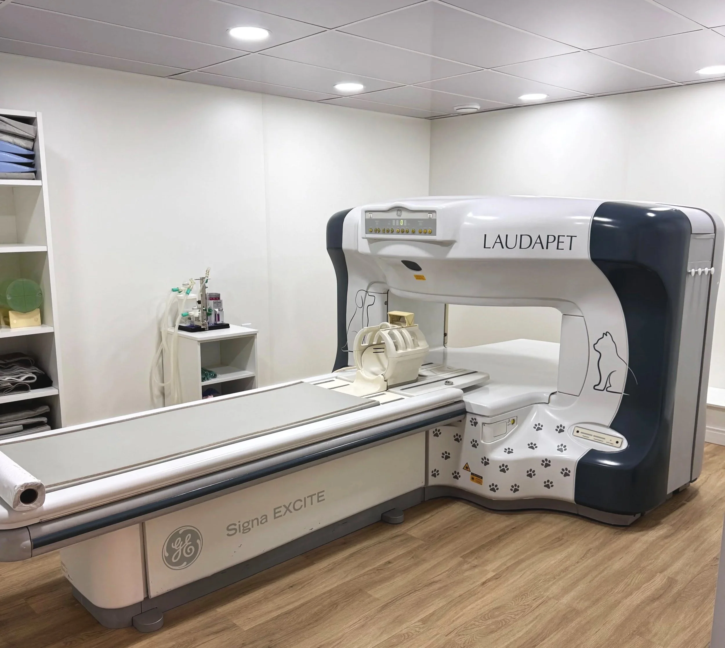 Raio X de uma clínica veterinária com um equipamento da marca Laudapet, decorado com pegadas de cachorro e gato, em um ambiente com paredes brancas, prateleiras com roupas, e piso de madeira.