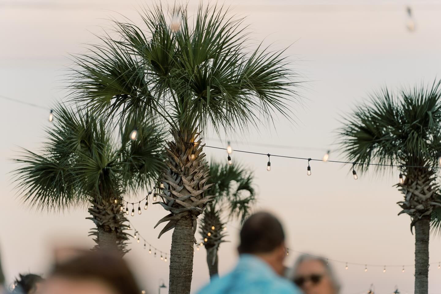 The Backdrop to your Welcome Party 📍 The Landing at Seabreeze
📸 : @smurrayphoto 

boats passing, breeze coming off the water, the bridge in the background like it&rsquo;s part of the decor

easy afternoons turn into nights without trying too hard

