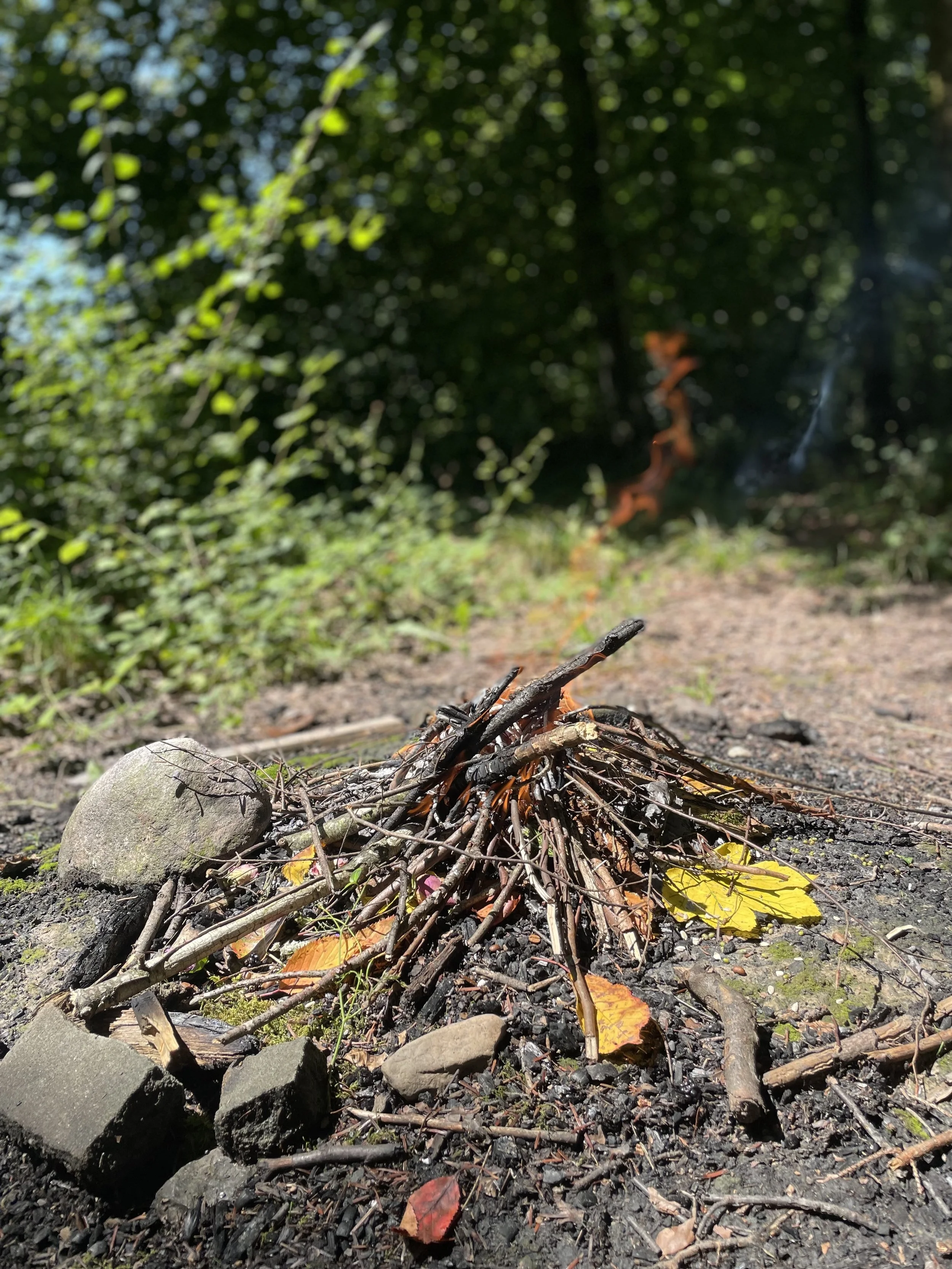 Ein kleines Lagerfeuer im Wald, bestehend aus kleinen Zweigen, Steinen und Blättern, bei Tageslicht mit bewaldetem Hintergrund.