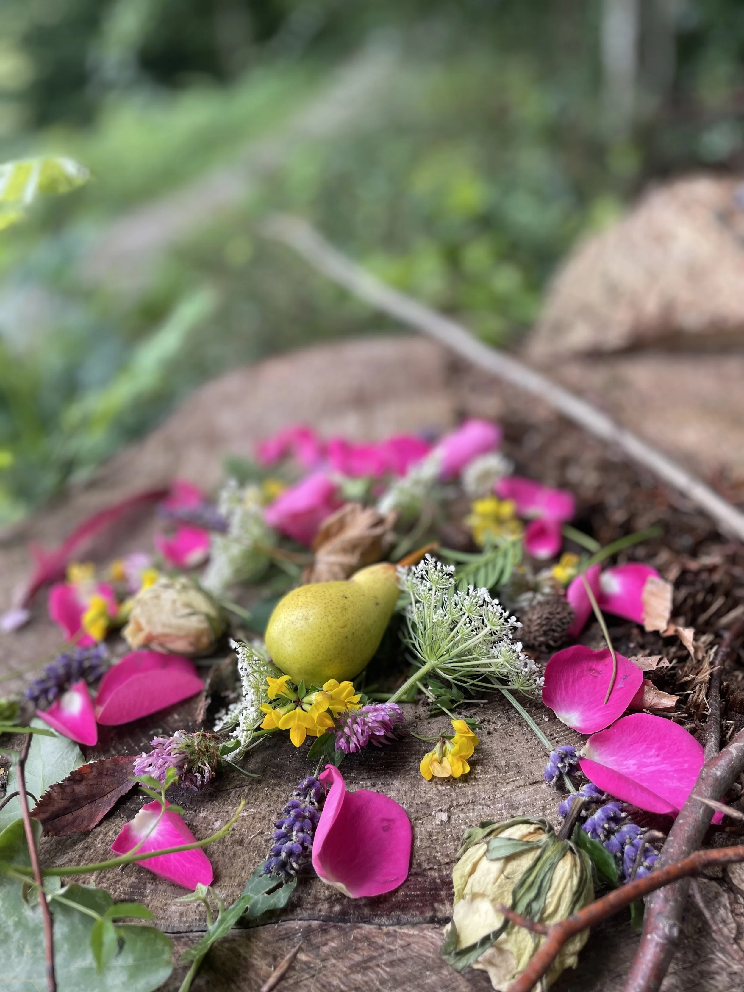 Blumen, Blätter, eine Birne und andere Naturmaterialien liegen auf einem Baumstumpf in einem Wald.