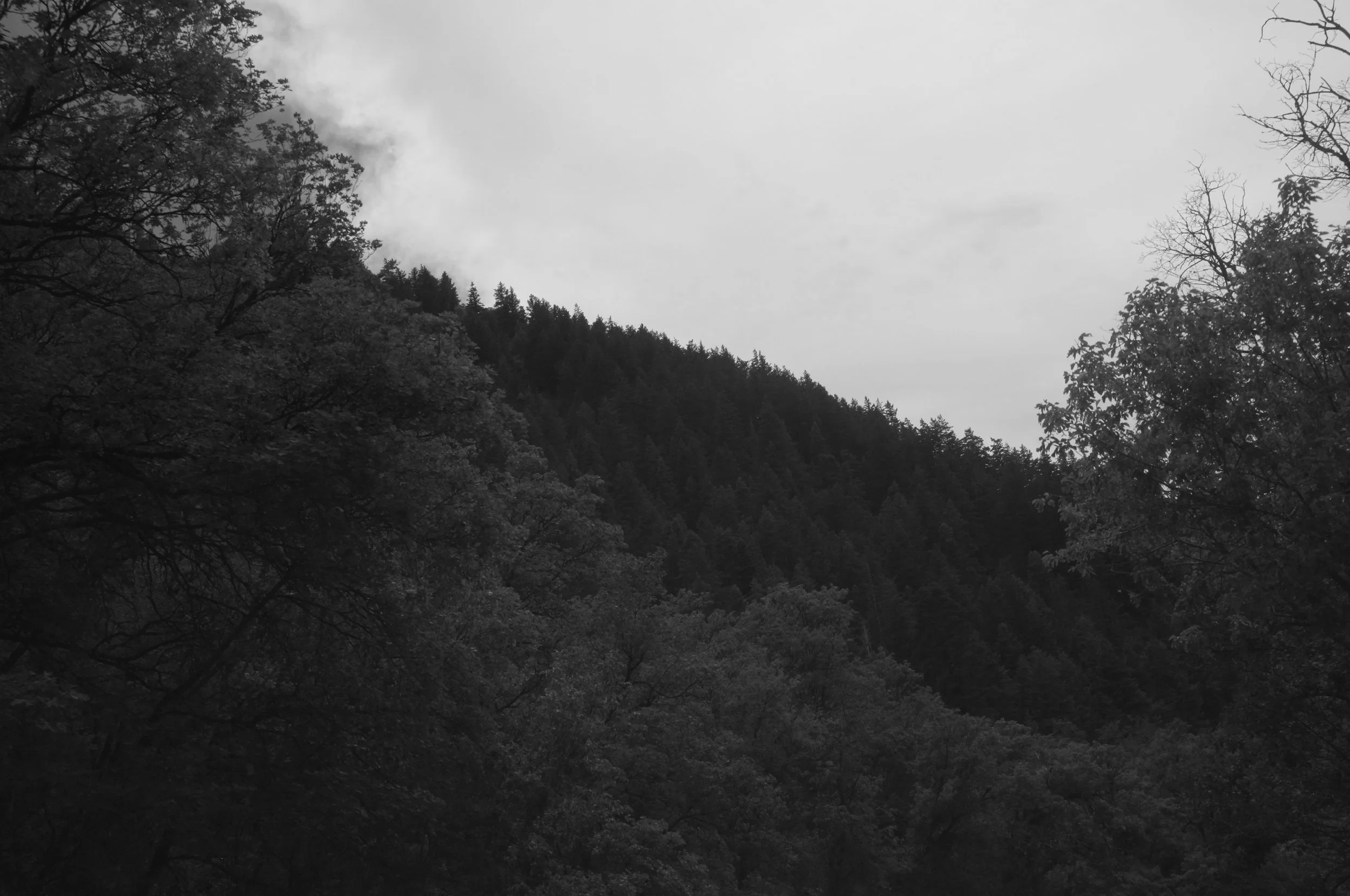 DSCF5889.JPG