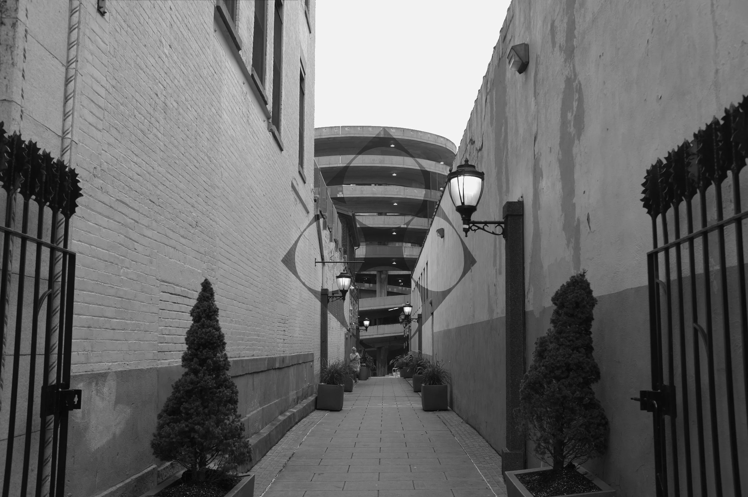 DSCF1170.JPG