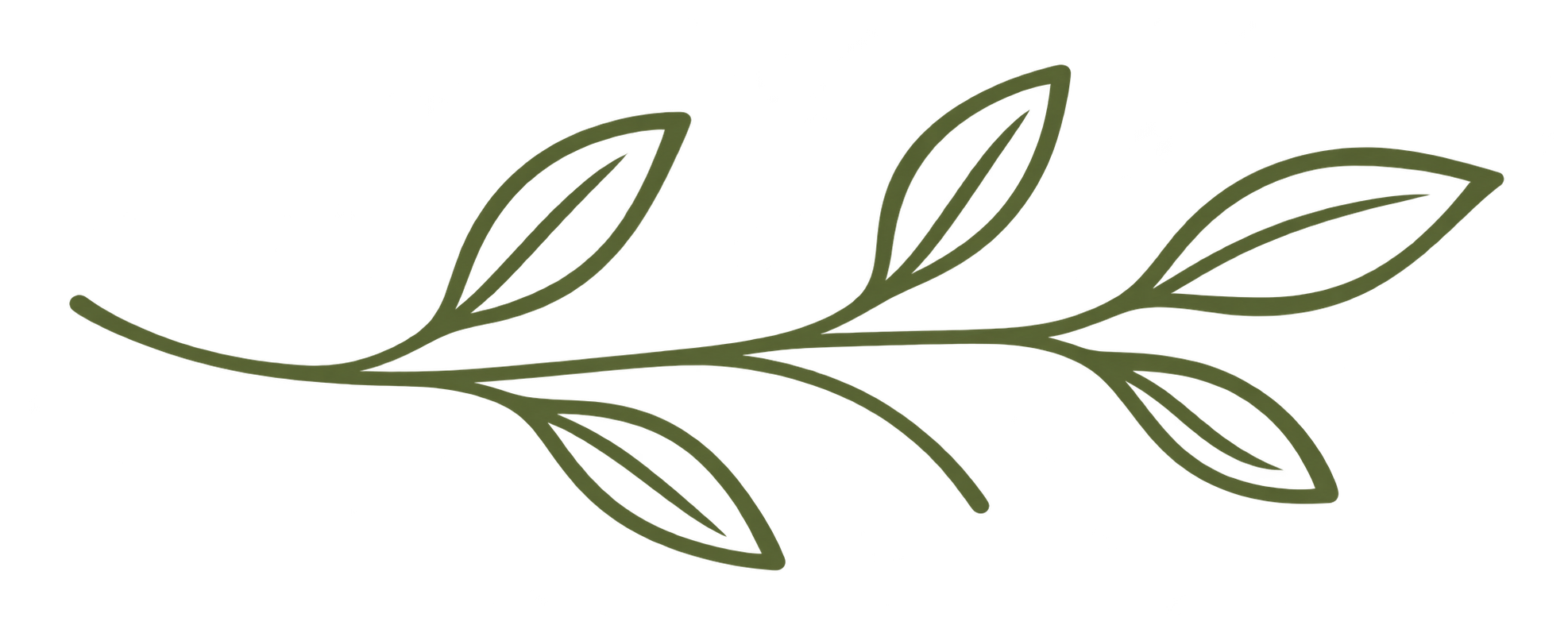 Decorative drawing of a green leafy branch with multiple leaves extending from it.
