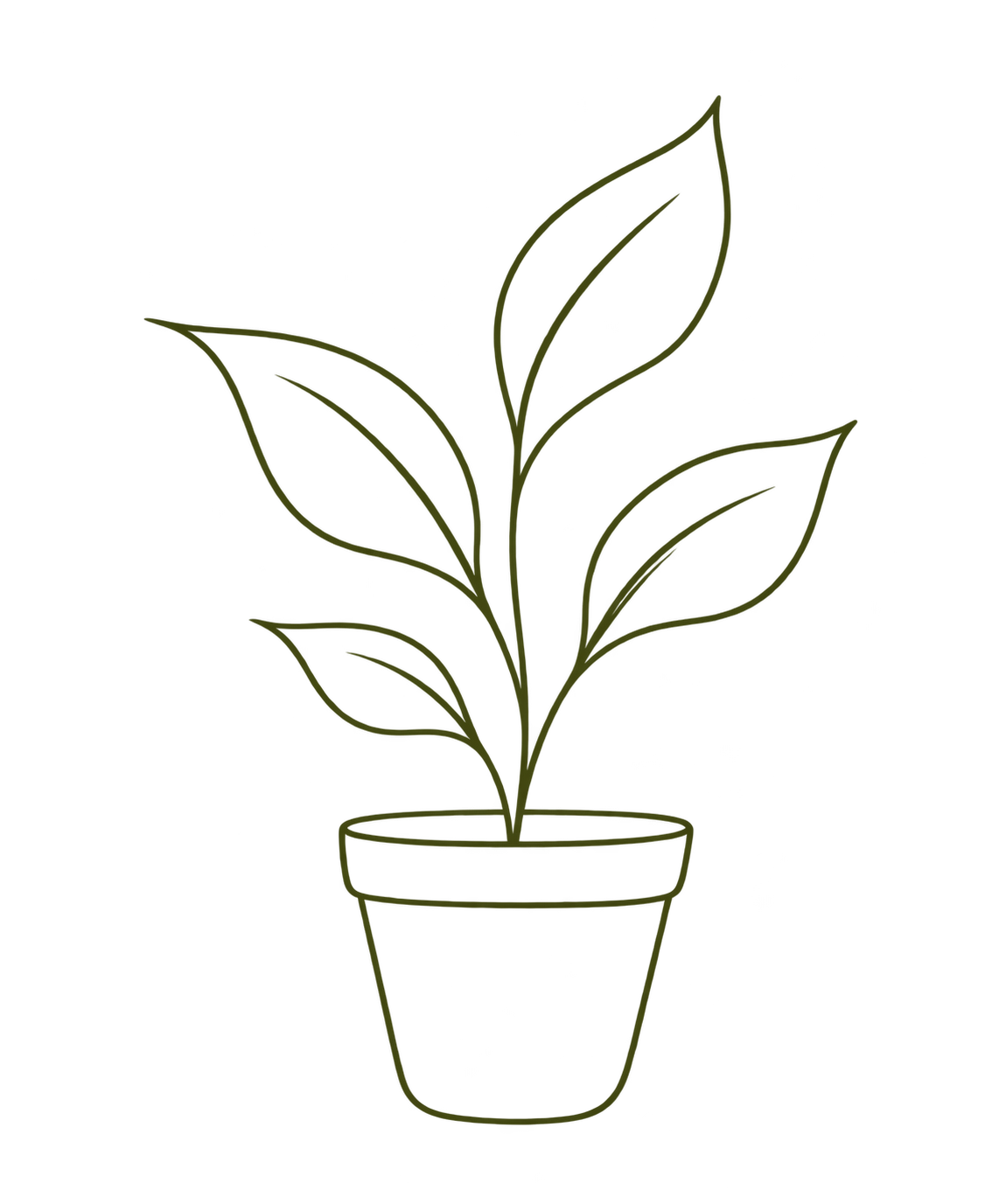 Outline drawing of a potted plant with multiple leaves representing alignment