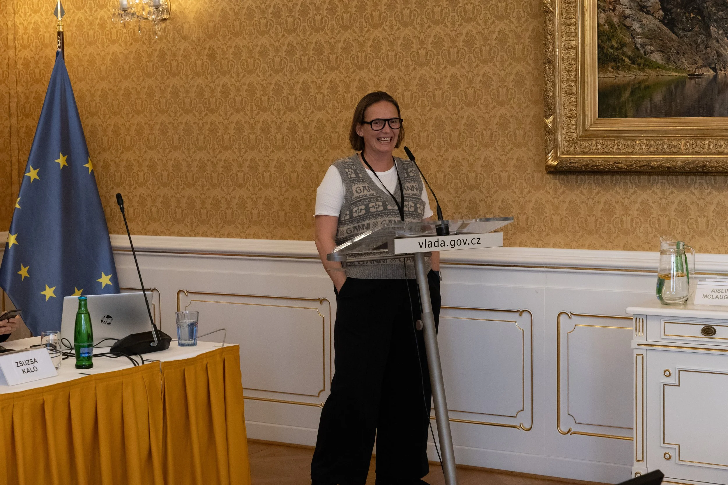 A woman with glasses and a short bob haircut standing at a podium with a microphone, smiling. The podium has a sign with the website 'vlada.gov.cz'. Behind her is a gold-patterned wall, a framed landscape painting, and a Czech flag. To her right is a