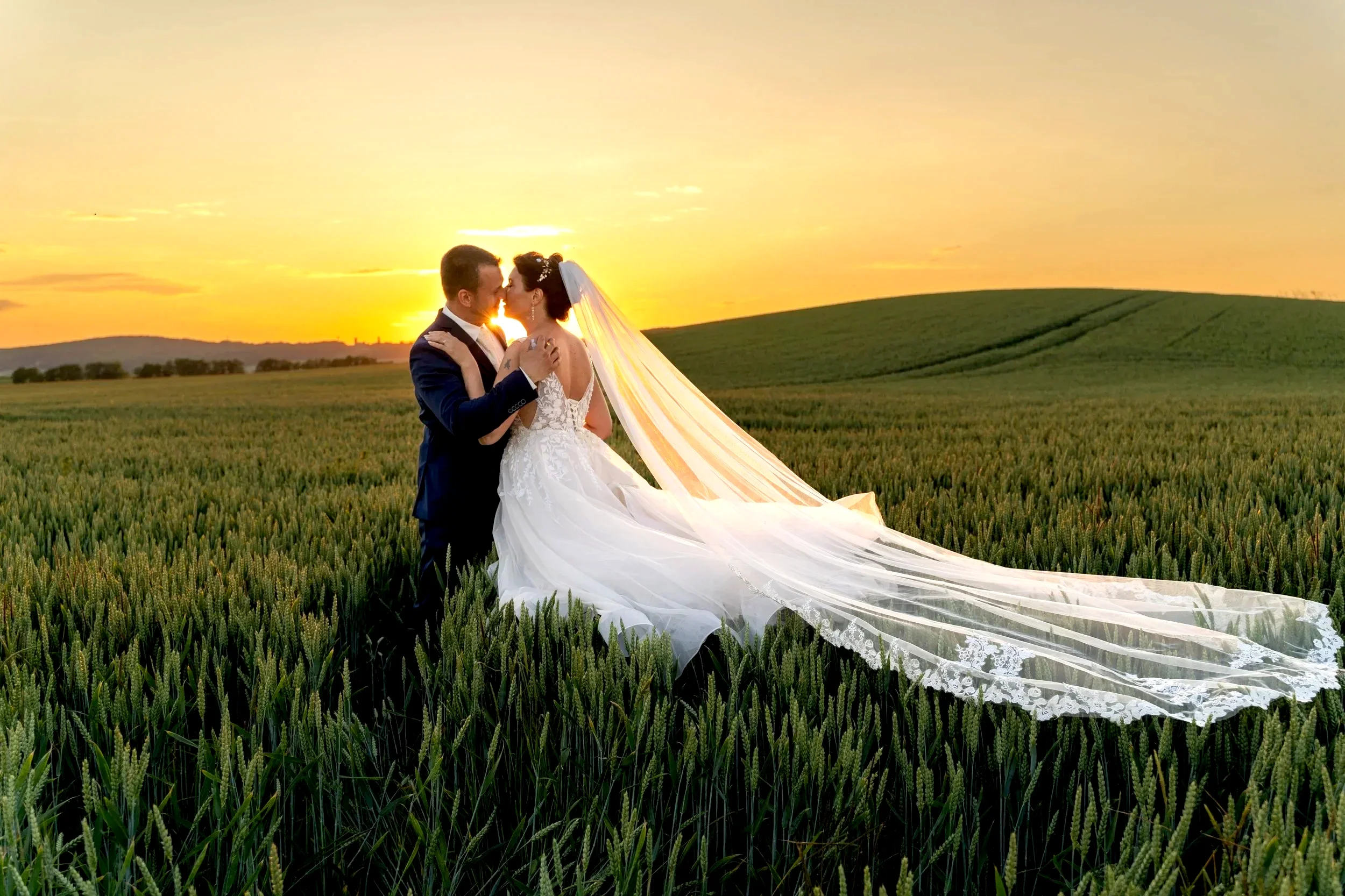 A bride and groom sharing a kiss in a green wheat field at sunset, with the bride in a white wedding dress and long veil, and the groom in a dark suit.