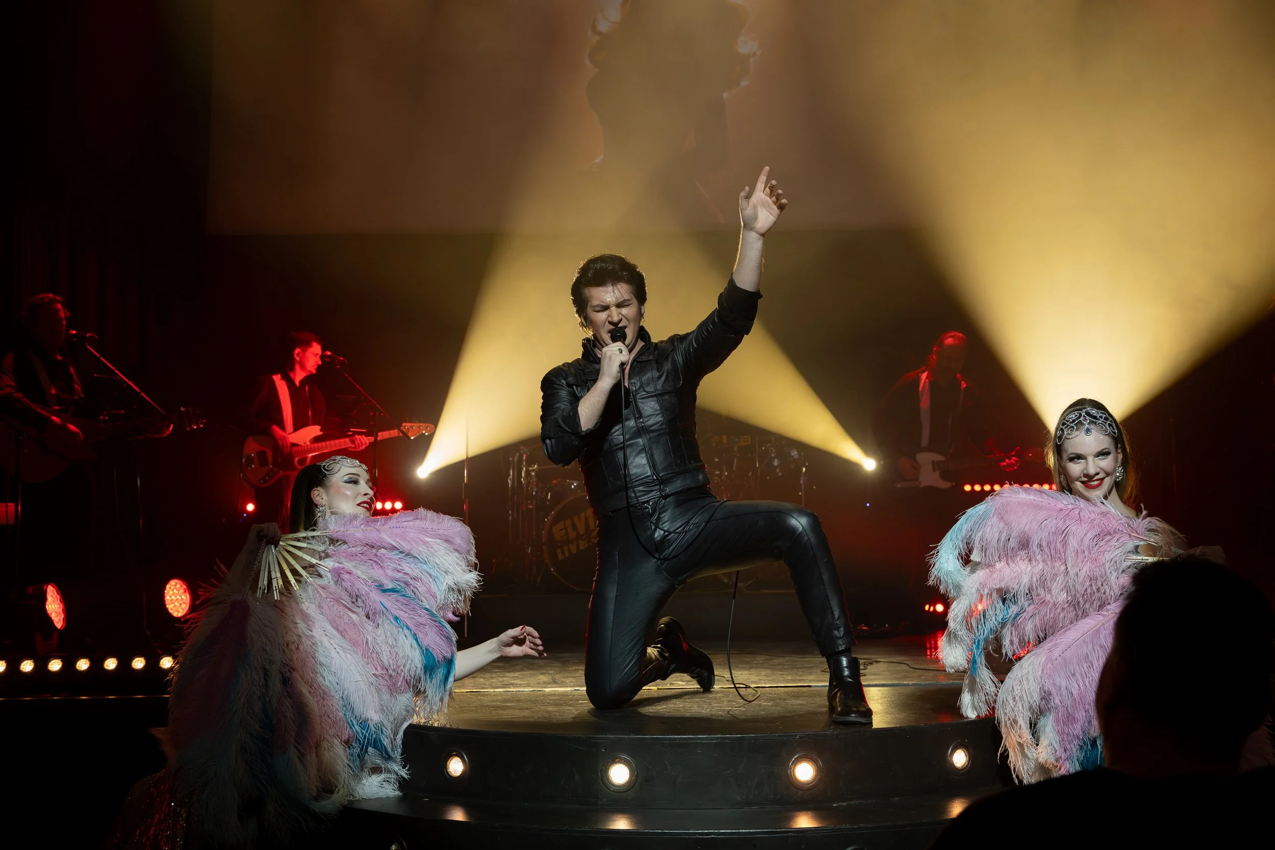 Elvis Live (19 of 39).jpg