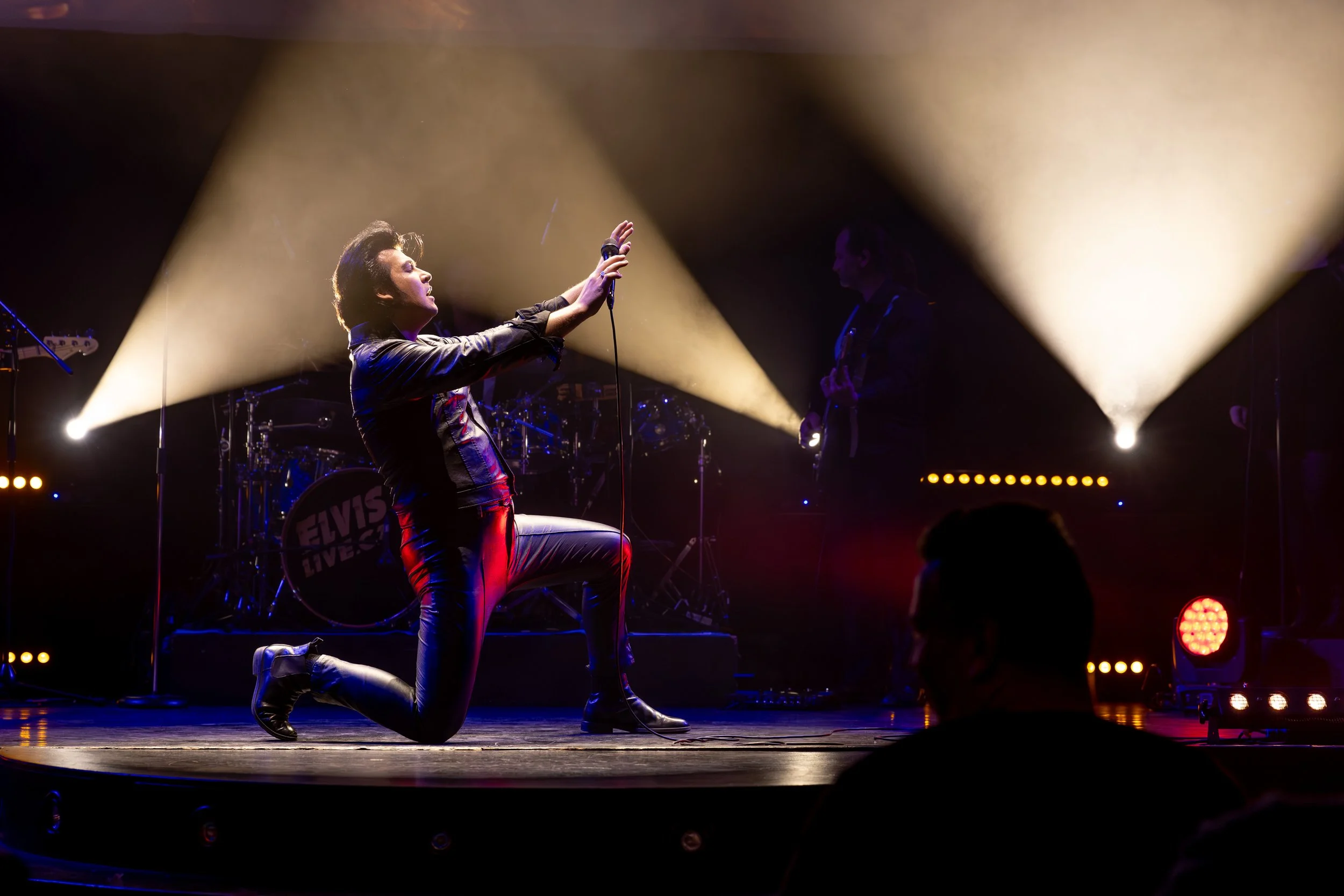 Elvis Live (8 of 39).jpg