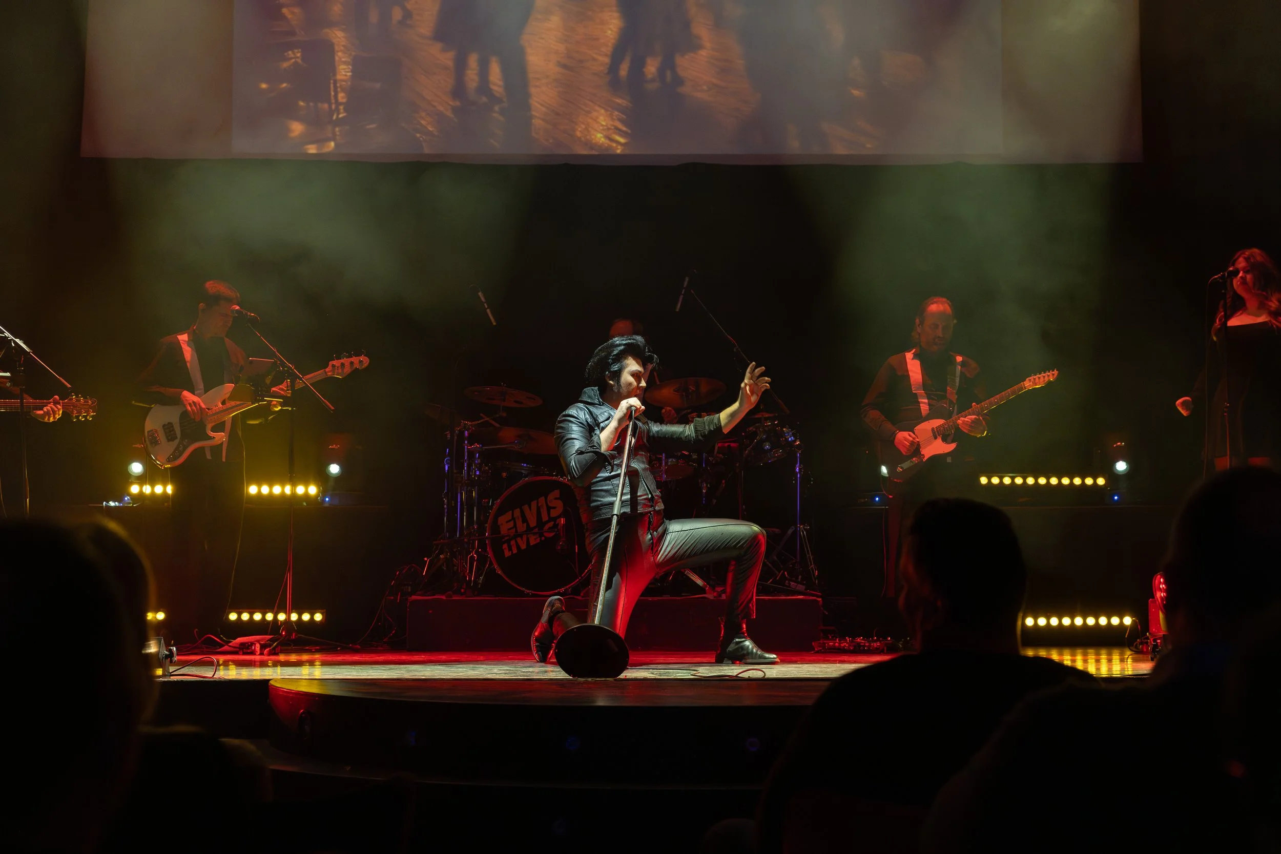 Elvis Live (6 of 39).jpg