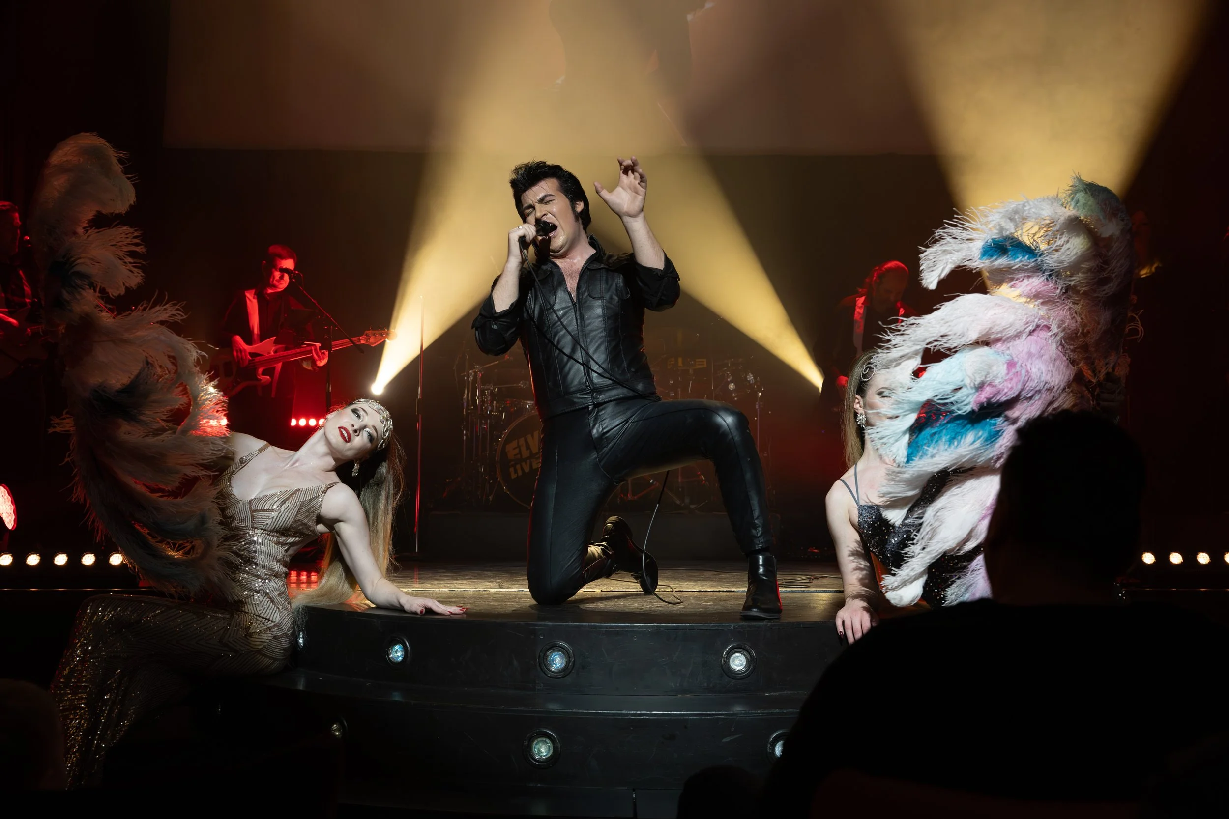 Elvis Live (17 of 39).jpg