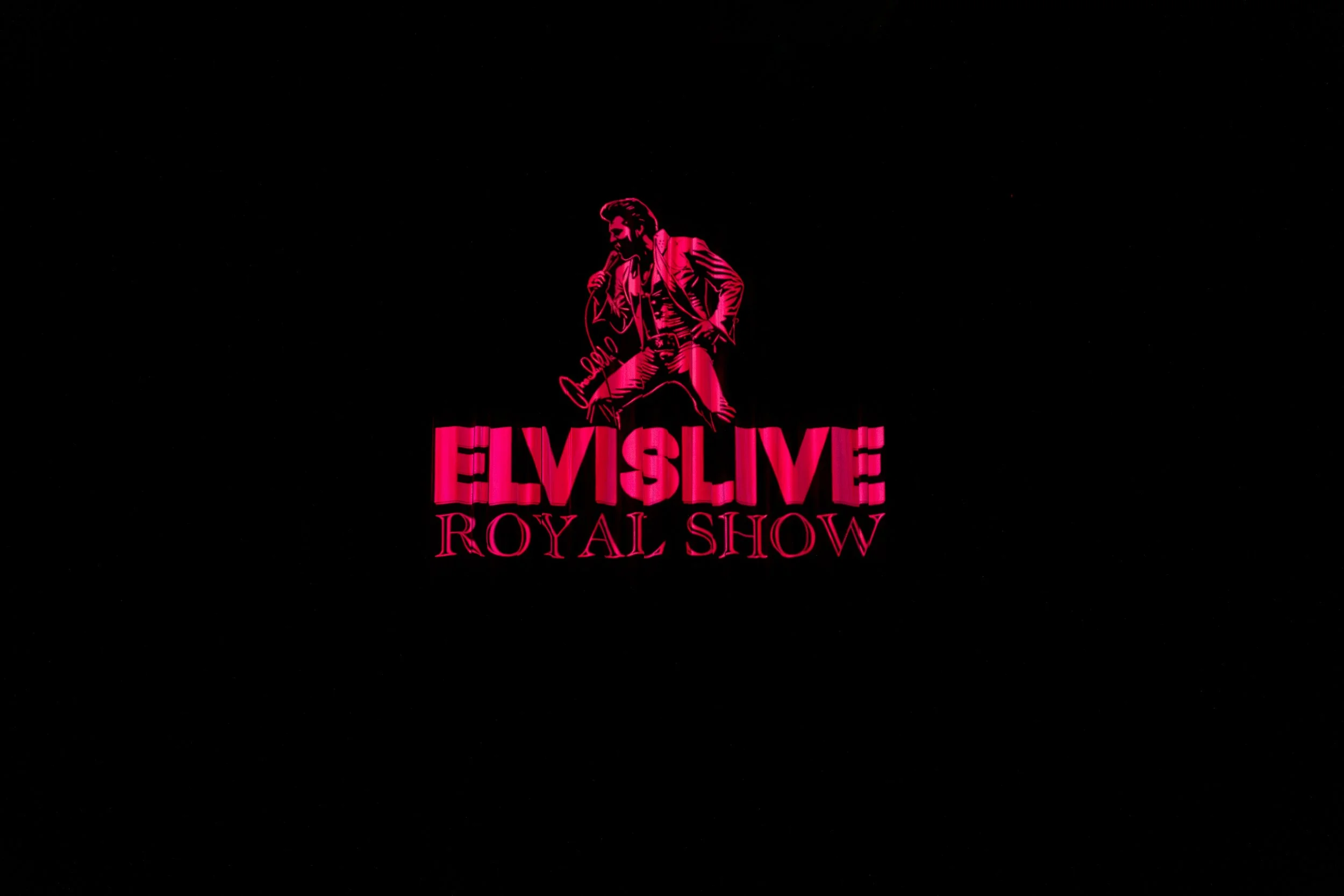 Elvis Live (1 of 39).jpg