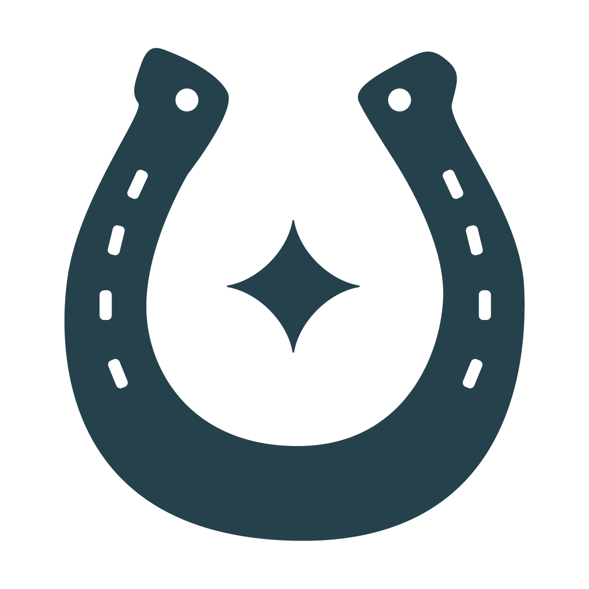 Icon of a horseshoe with a star-shaped symbol in the center.