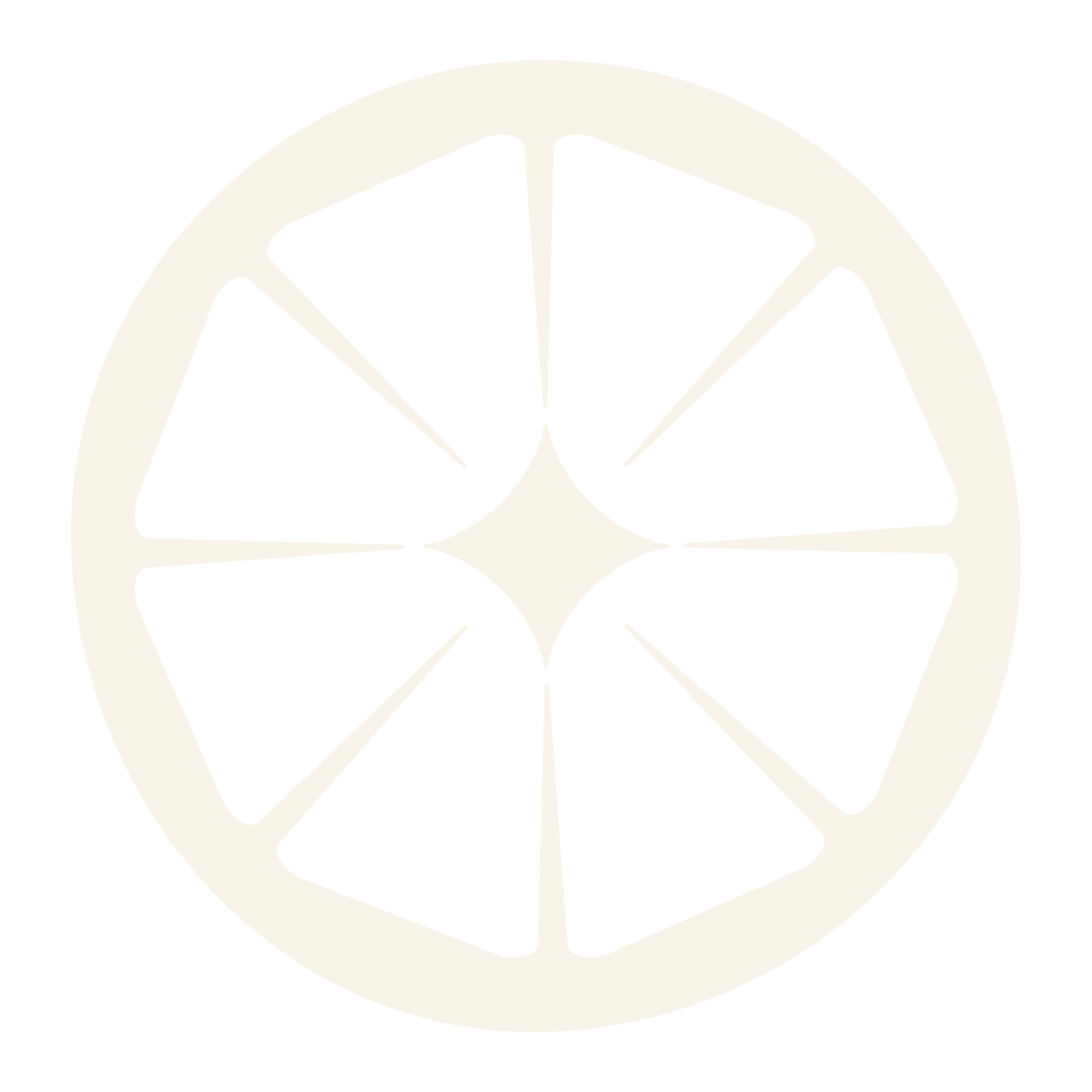 A stylized black and white graphic of an orange slice, showing the segments in a circular pattern.