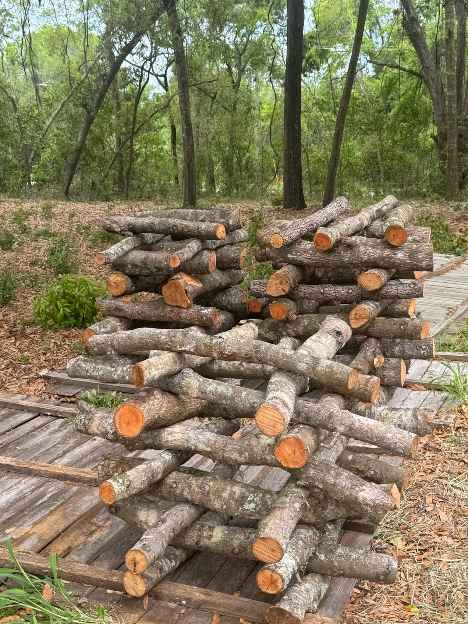 Stacked logs of various lengths on a wooden pathway in a wooded area