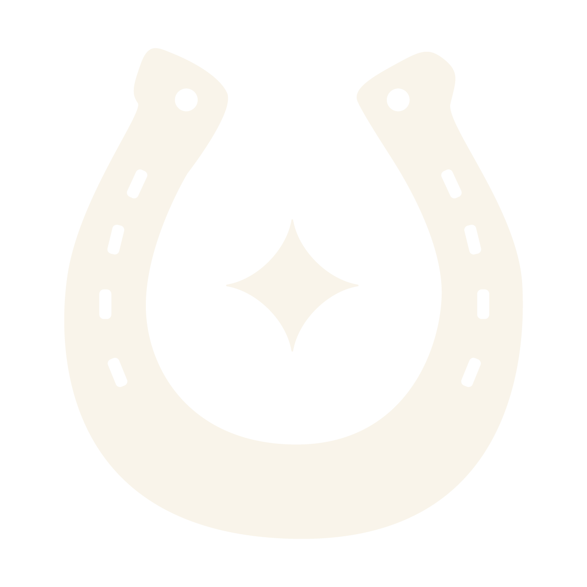 Simple illustration of a horseshoe with a shining star in the center.