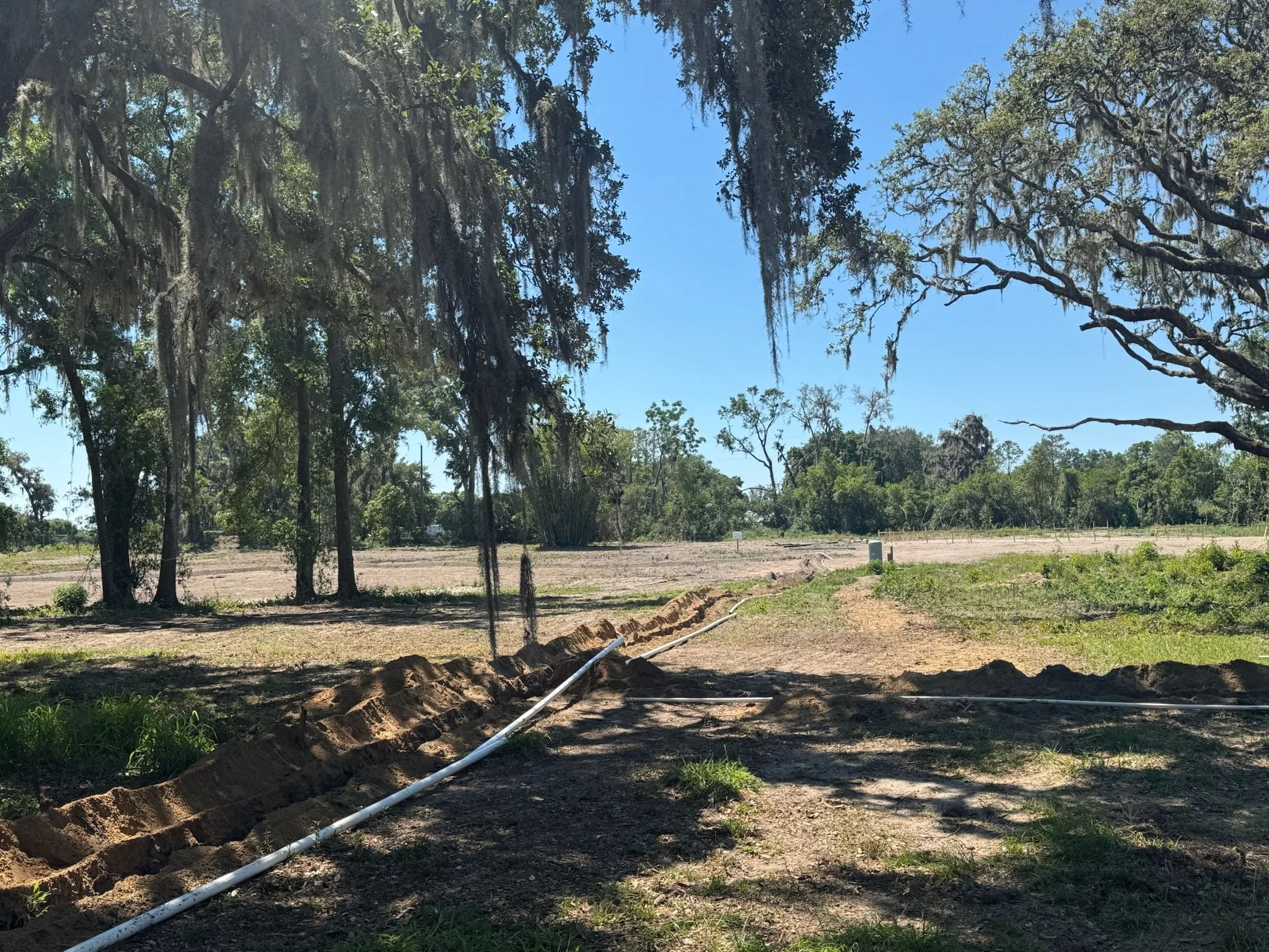 Construction site with a trench and pipe in a grassy, wooded area under a sunny sky.