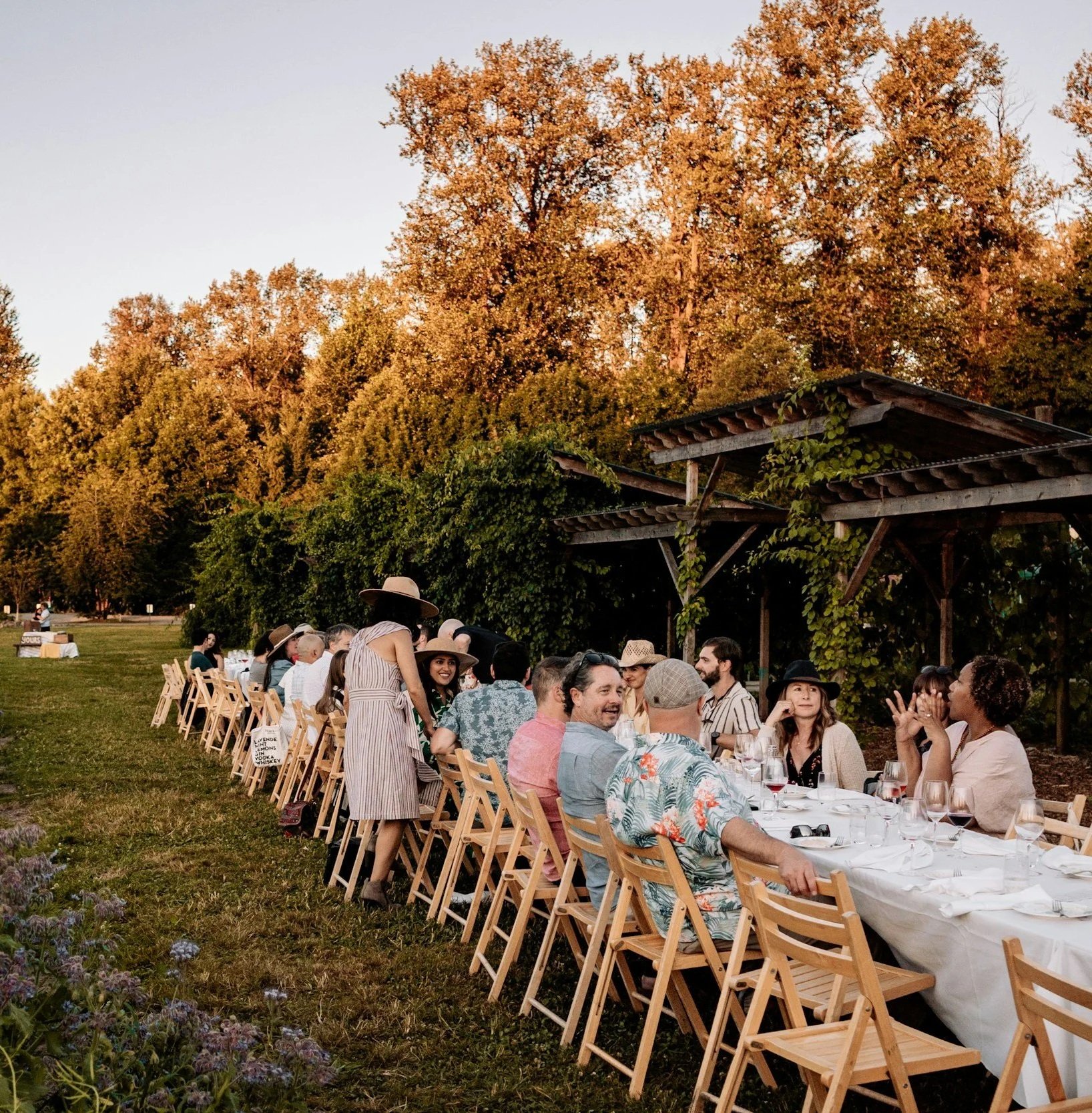 People gathered around a long outdoor table for a dinner party during sunset in a garden, with trees in the background.