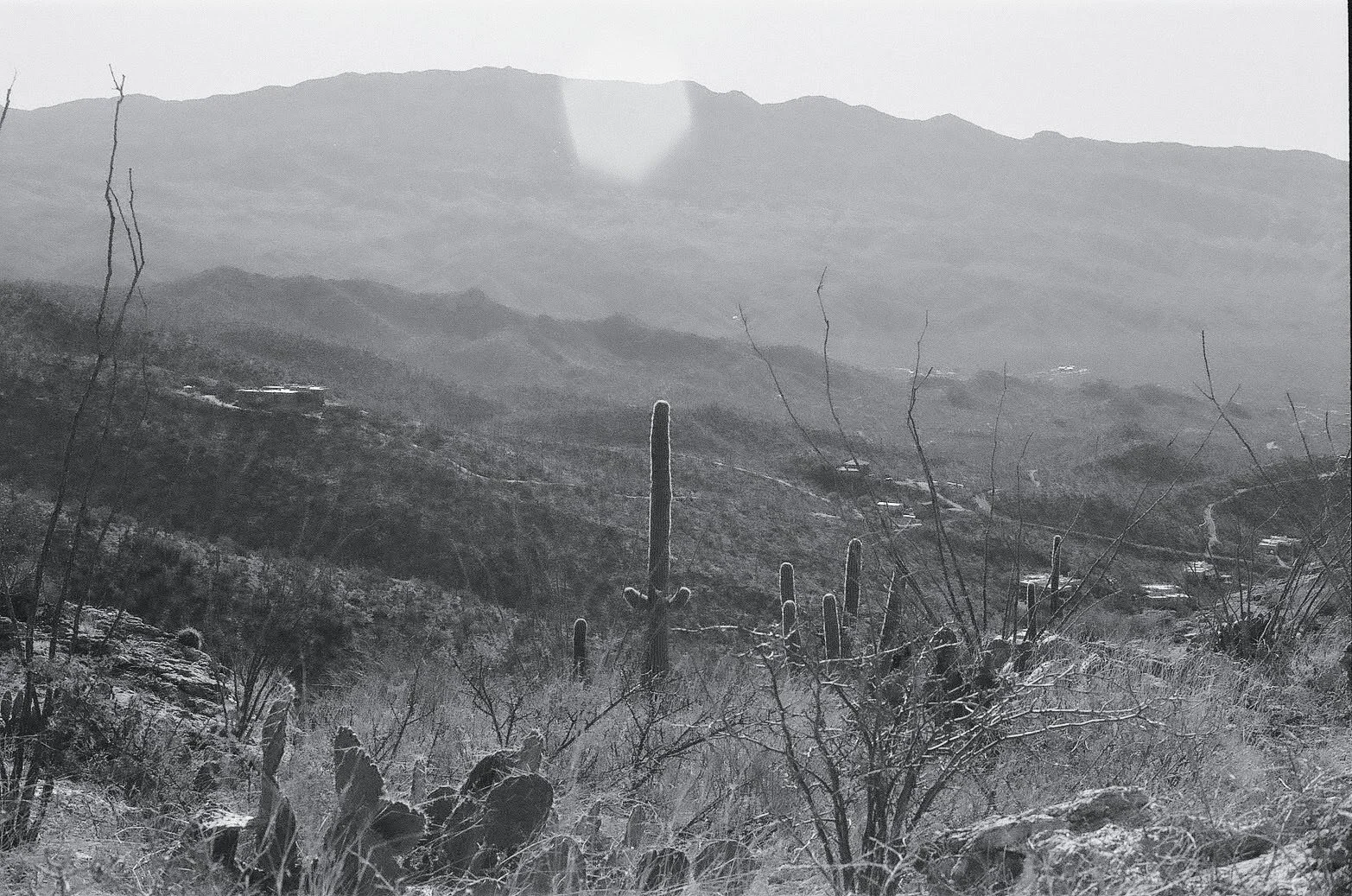 300bcfd8-1580-4667-a356-0de639d0c558_rw_1920 (1).jpg