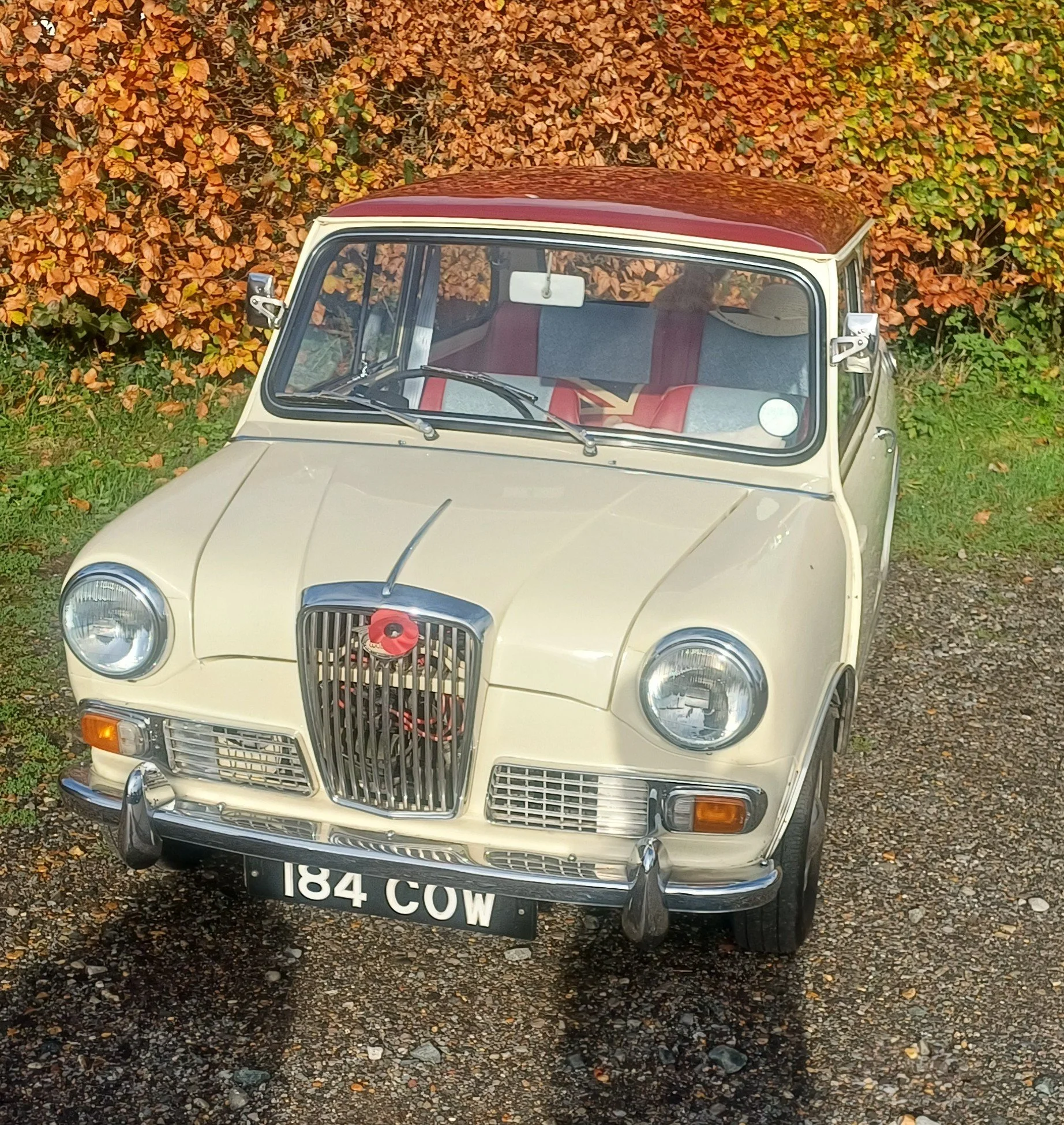 20251109_101416.jpg