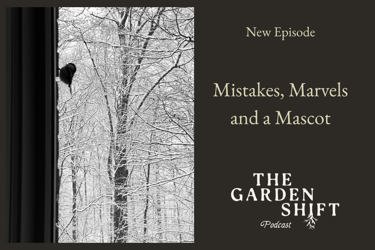 Mistakes, Marvels and a Mascot.