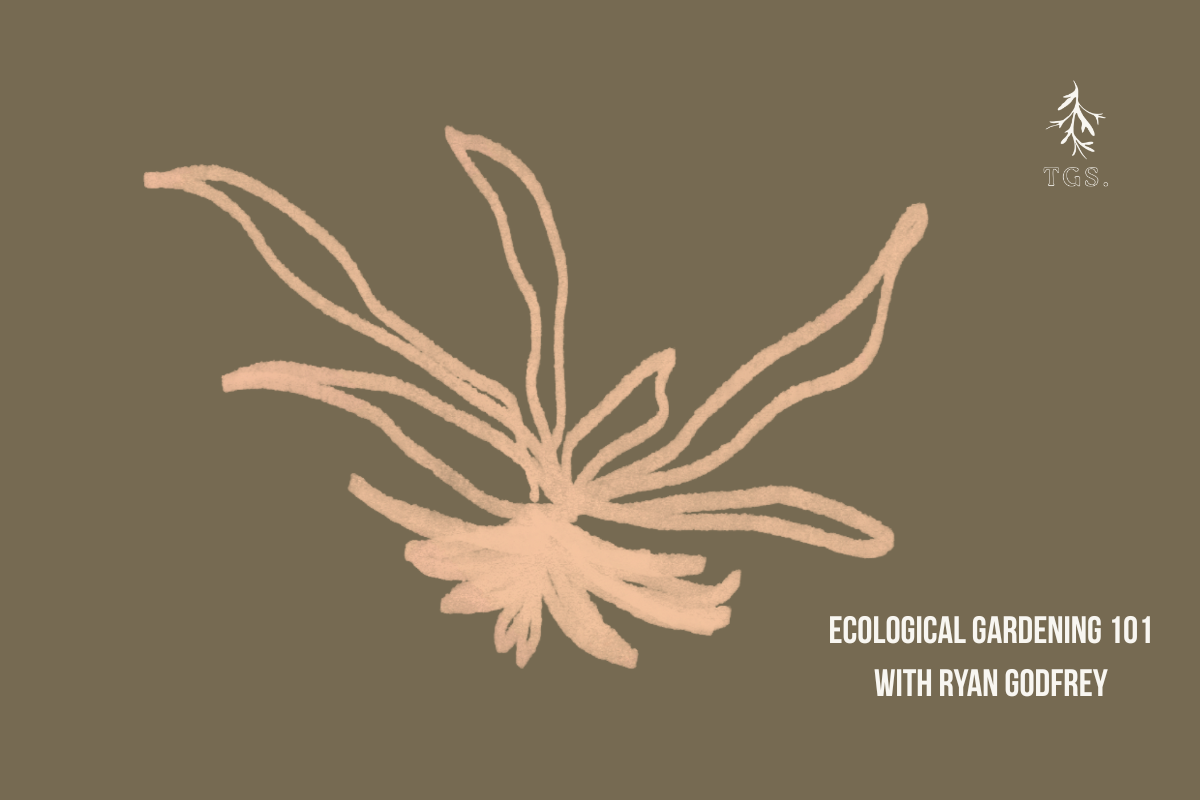 Ecological Gardening 101