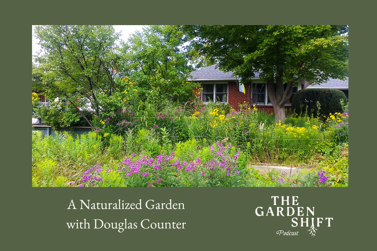A Naturalized Garden with Douglas Counter