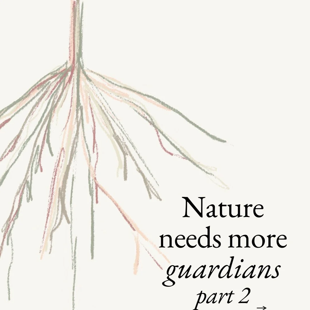 Help build community 😊