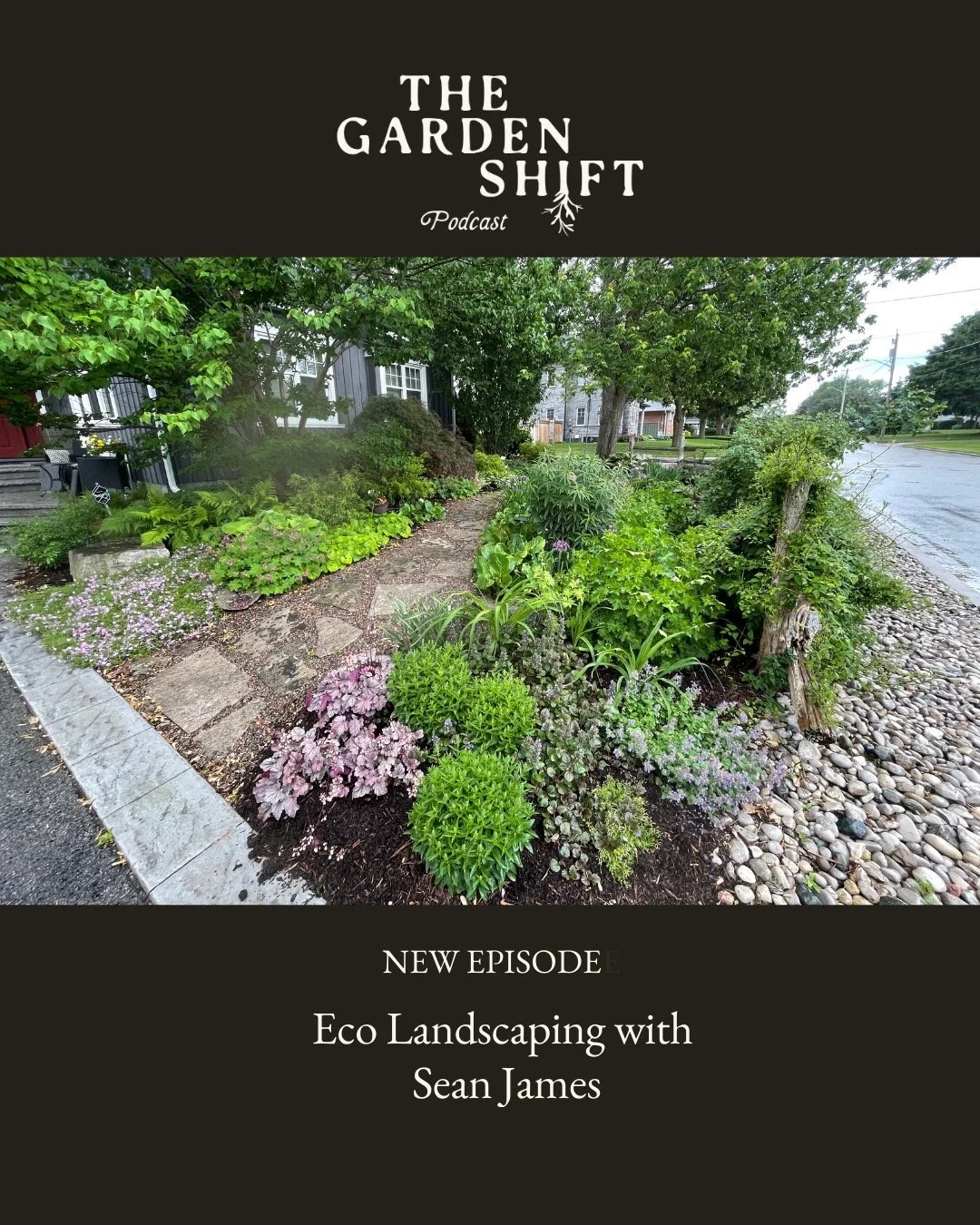 Award winning Eco Landscape Expert @seanjamesdesigns knows that gardens can do good. Best plans and plants make for a sustainable garden.