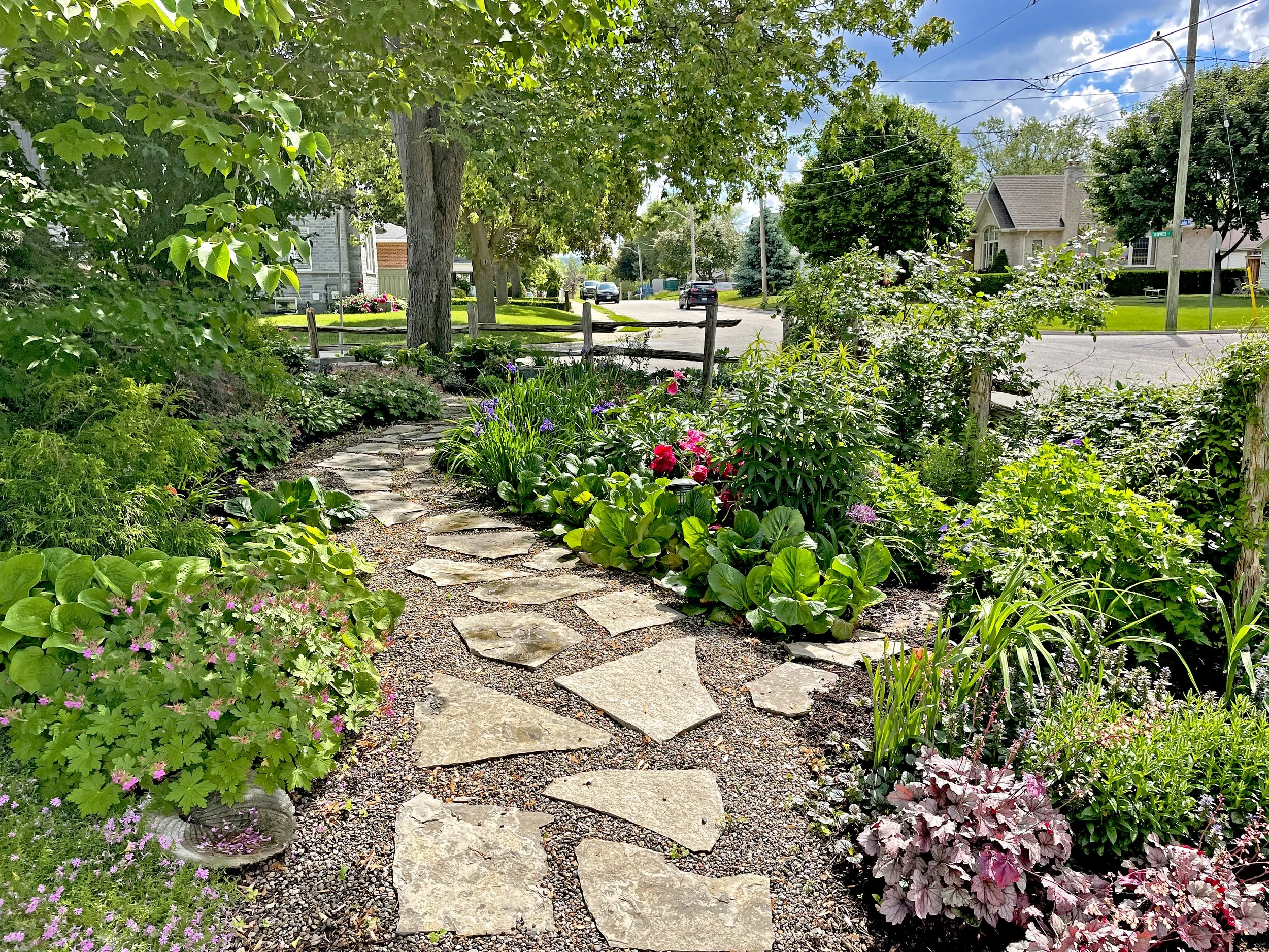 Gardens That Do Good with Sean James