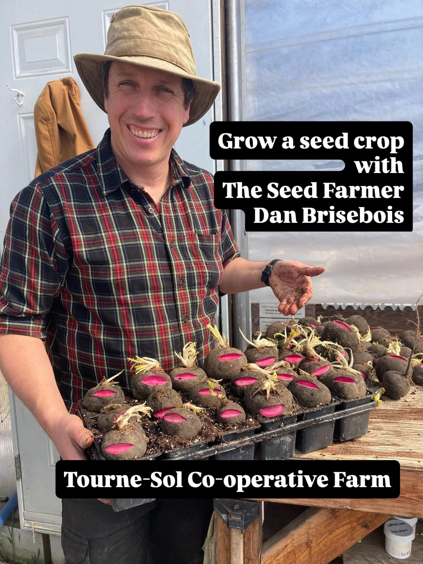 Dan Brisebois is passionate about seed production and ecology- the co-op has successfully tested a democratic, diverse and sustainable company. His guide to growing, using and selling your own seed is for everyone. Listen &amp; learn with The Seed Fa