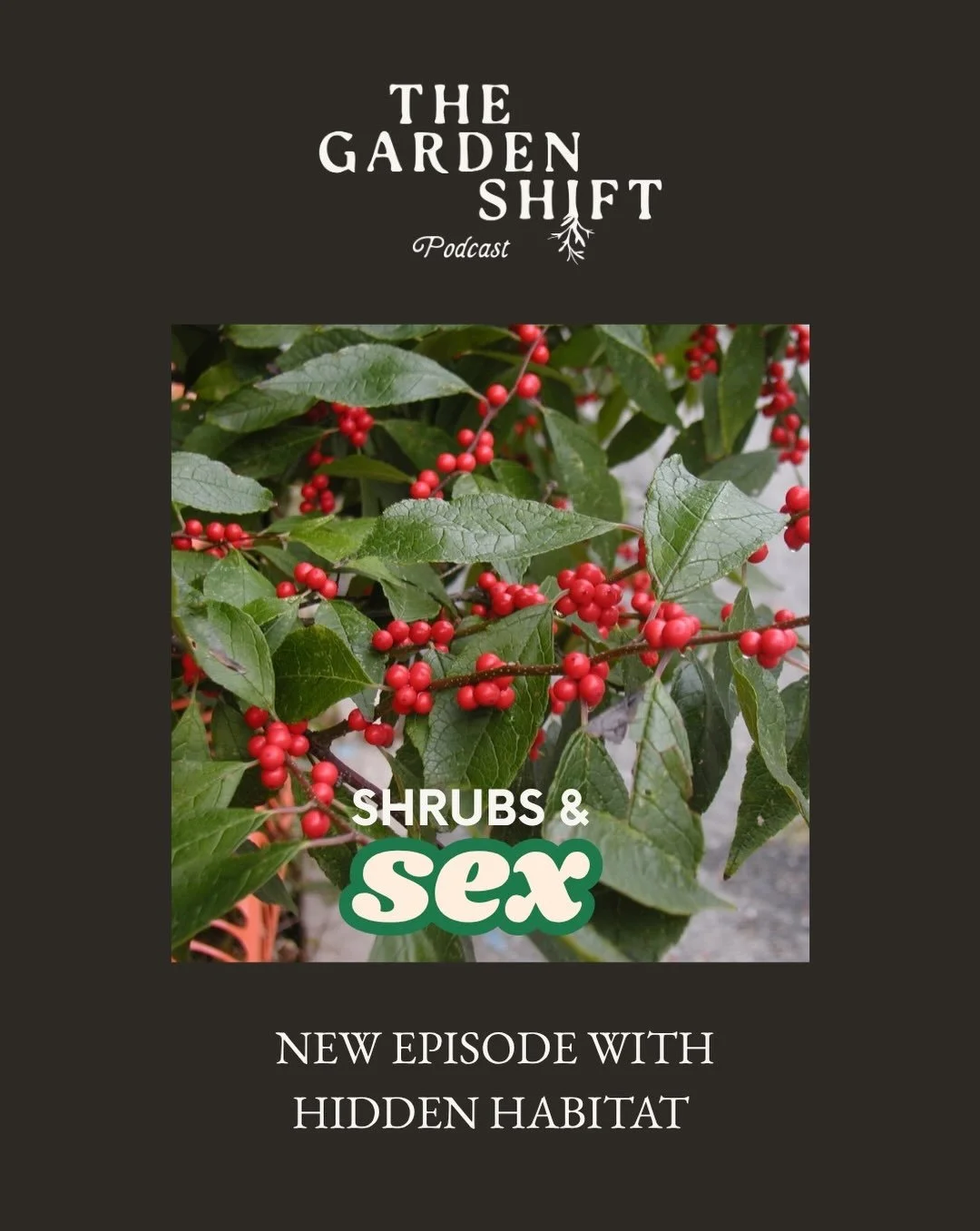 Get planning for berries&hellip; the birds will thank you. New episode with Laura Thomas of Hidden Habitat in Gravenhurst.