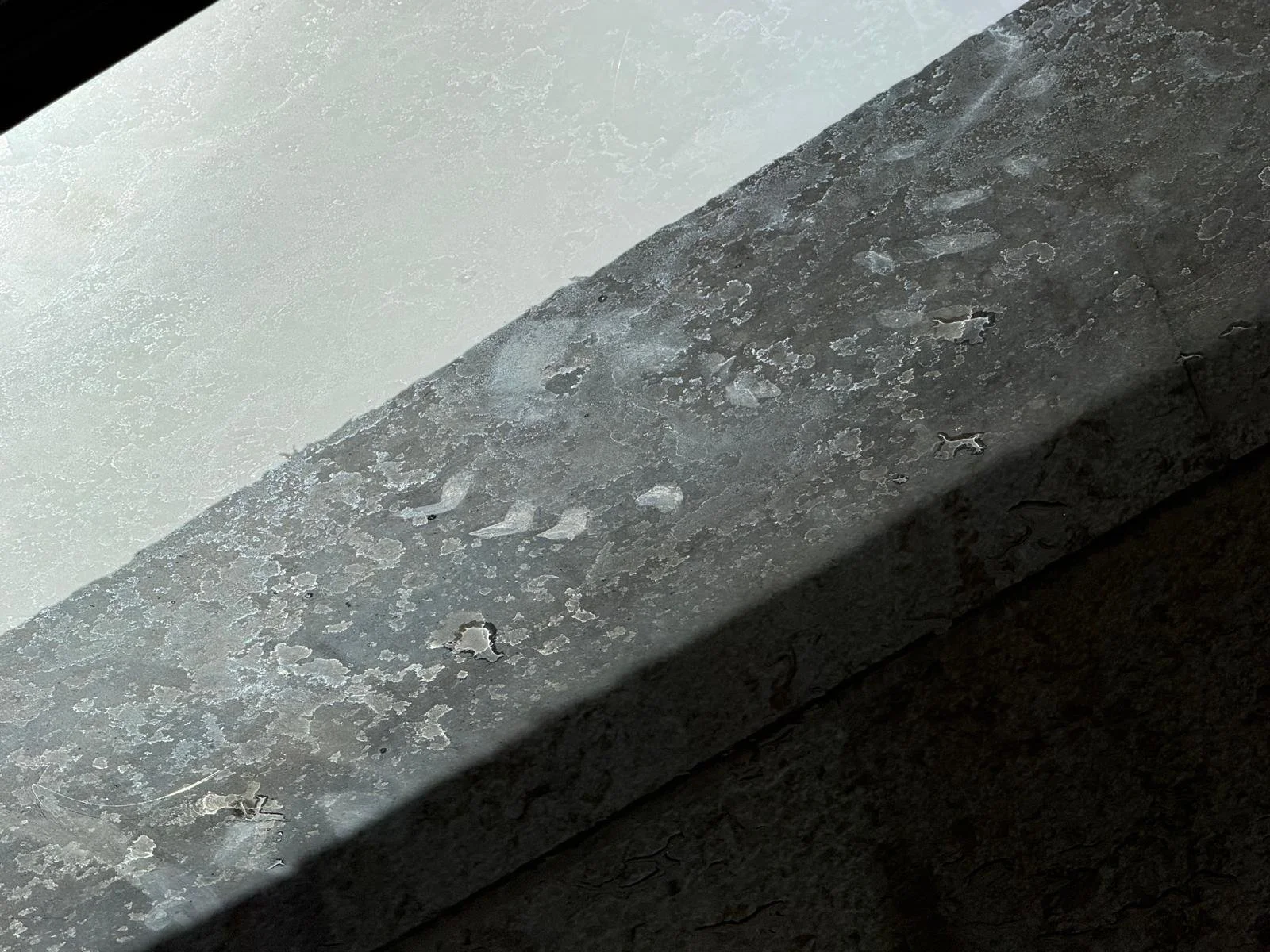 WhatsApp Image 2025-08-13 at 11.03.47.jpeg