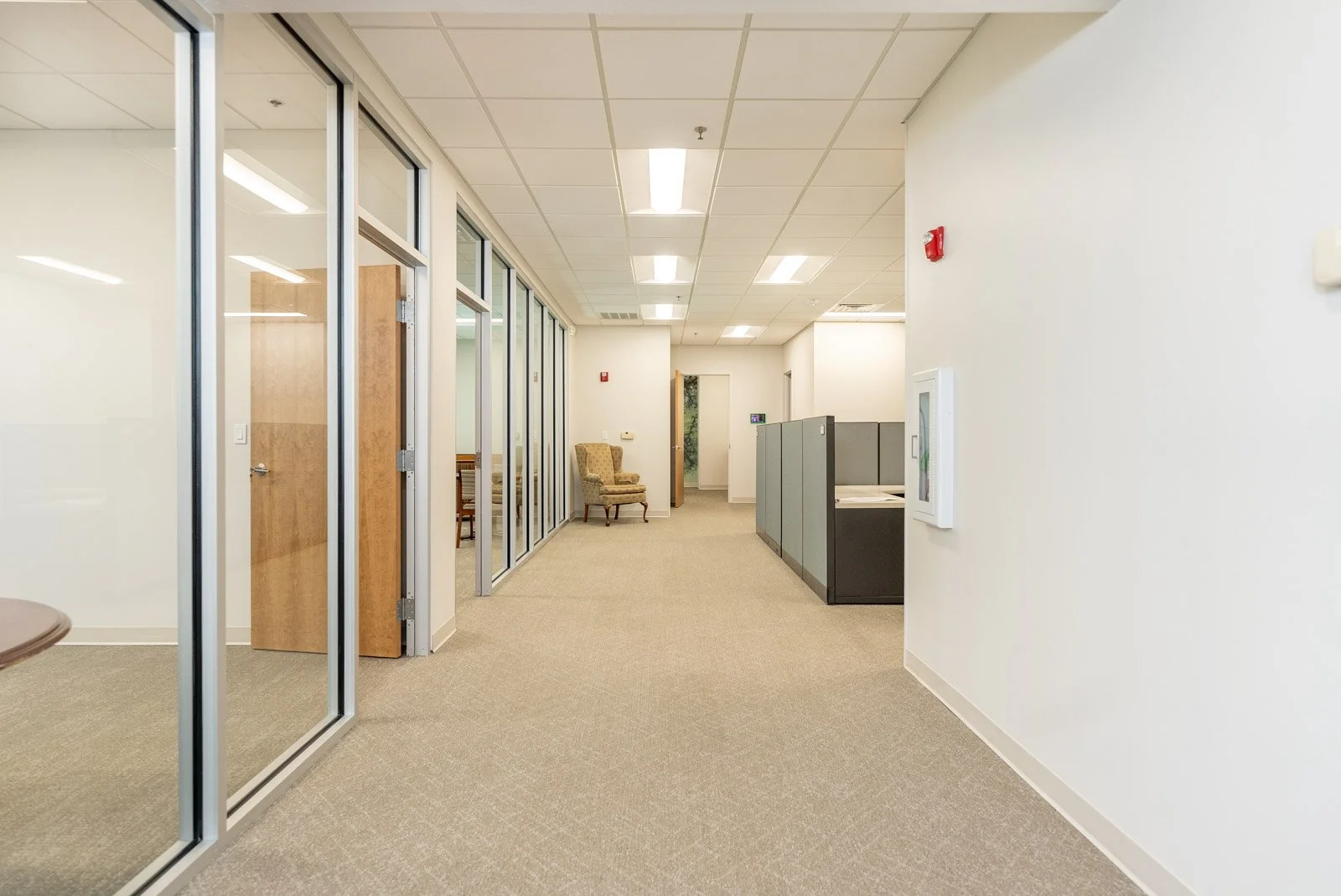 Caralex Renovation - For-WEB-1002.jpg