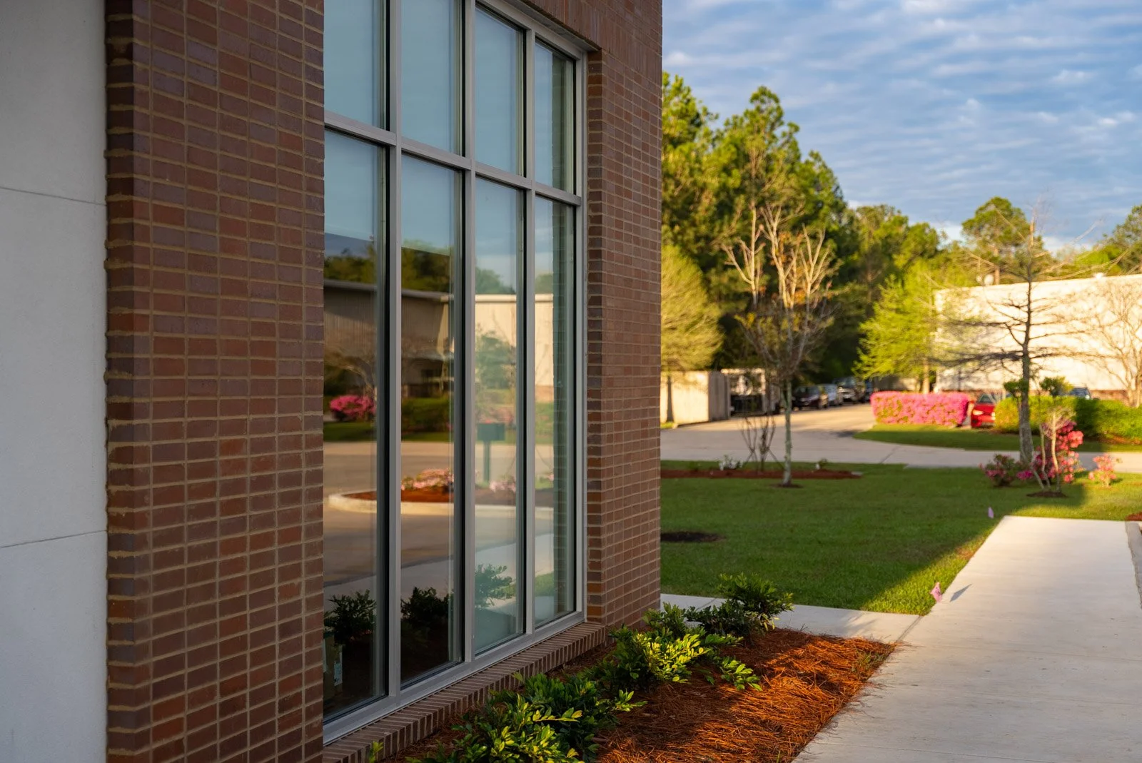 Smoketree Complete - For-WEB - 1003.jpg