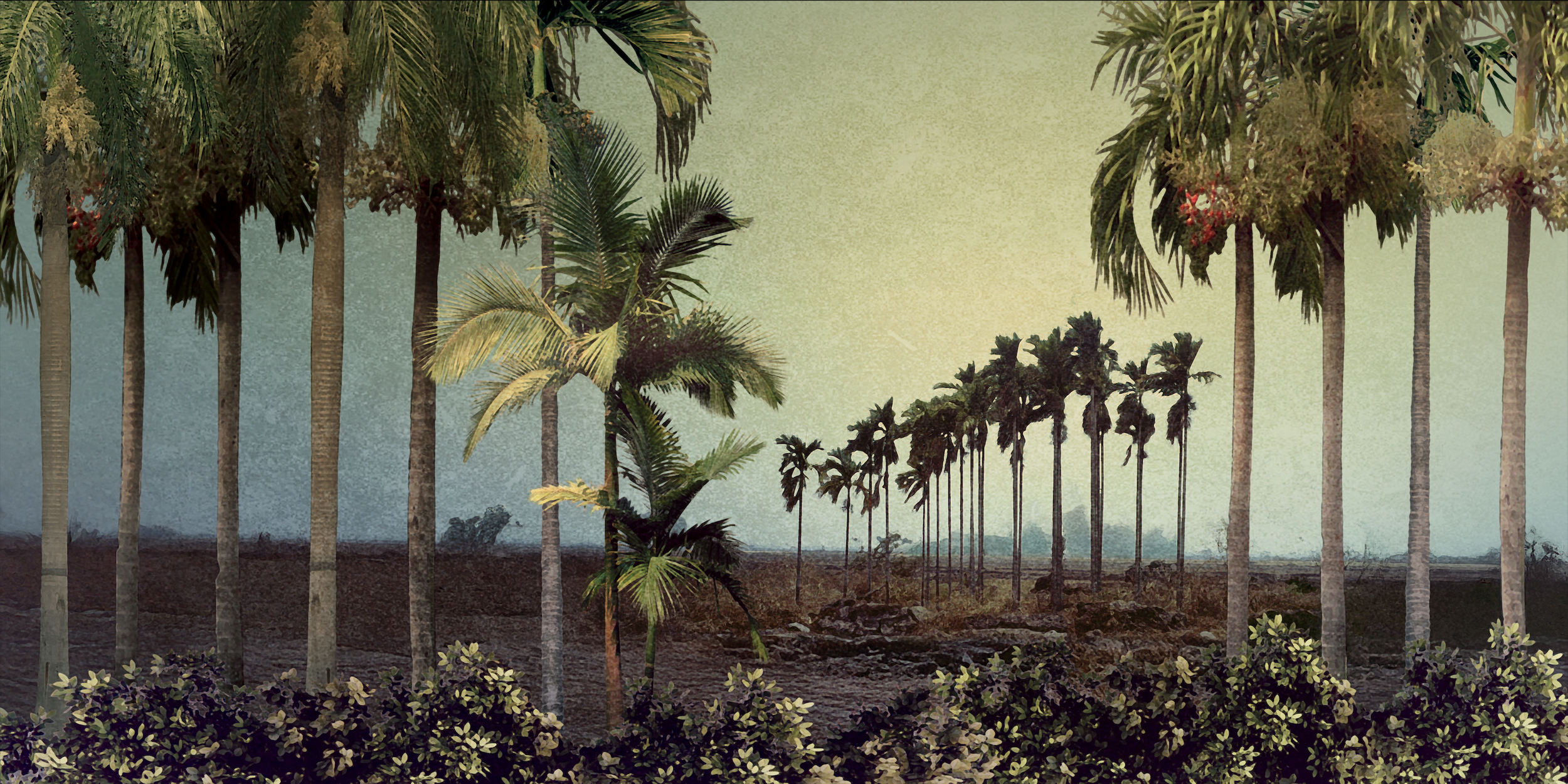 BACKDROPS & ELEVATIONS