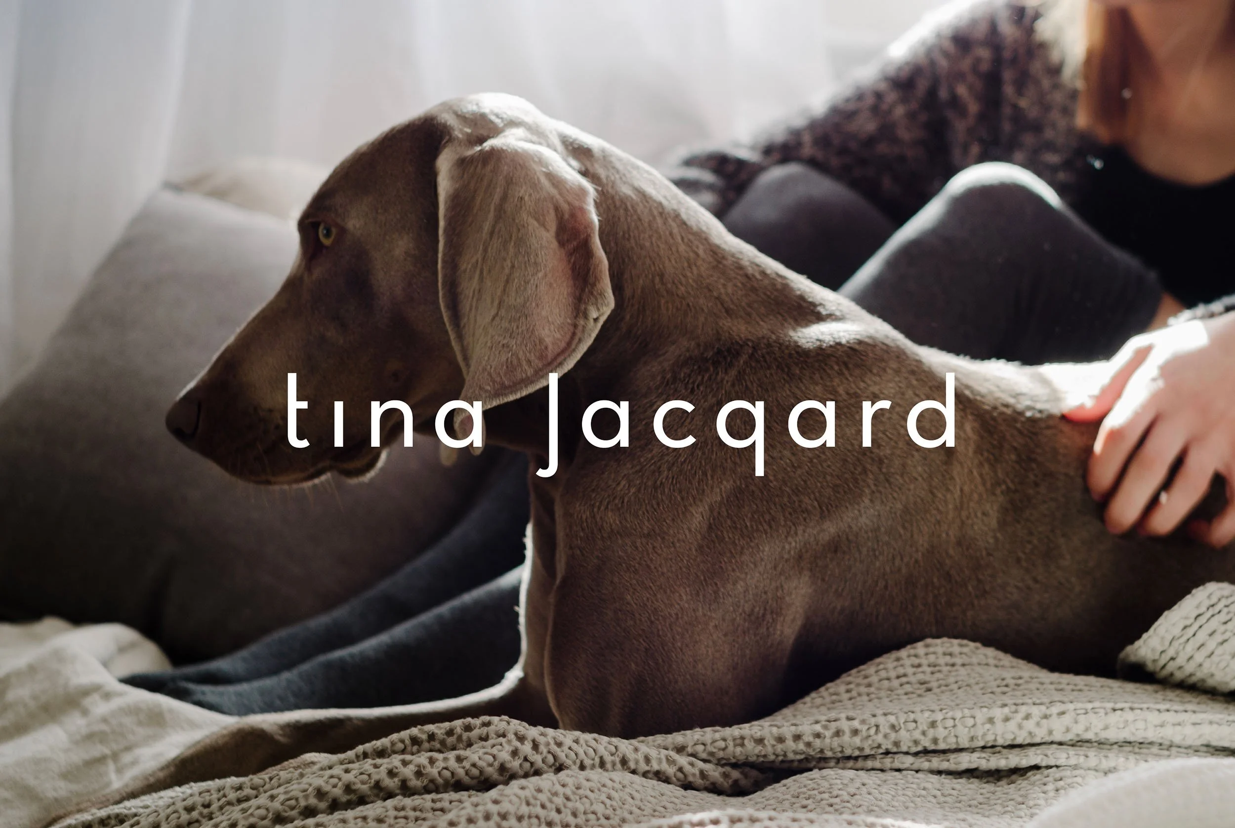 Un perro de raza pointer sentado en un sofá con una mujer, con luz natural entrando por la ventana