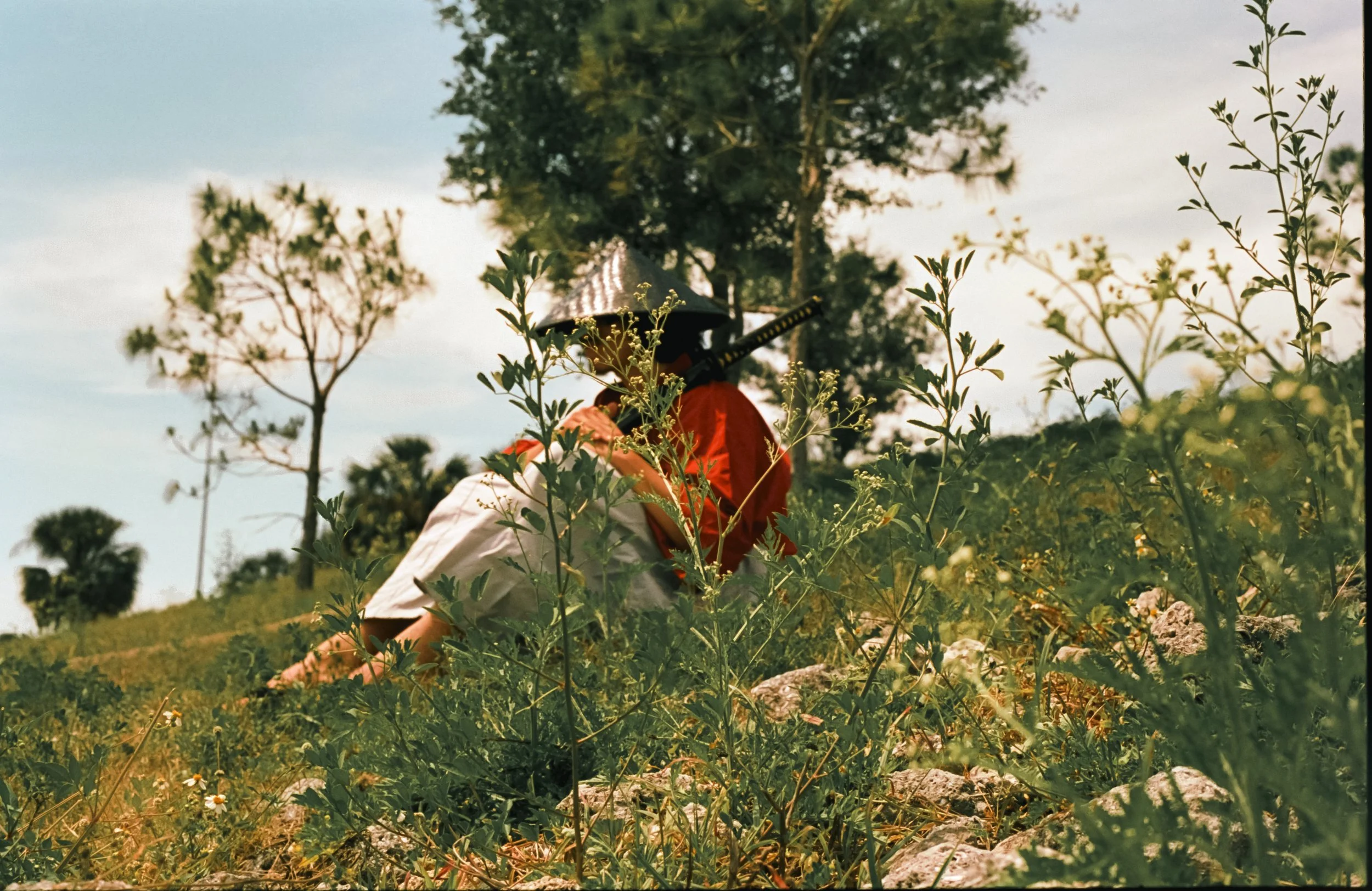 Taking it all in-6.jpg