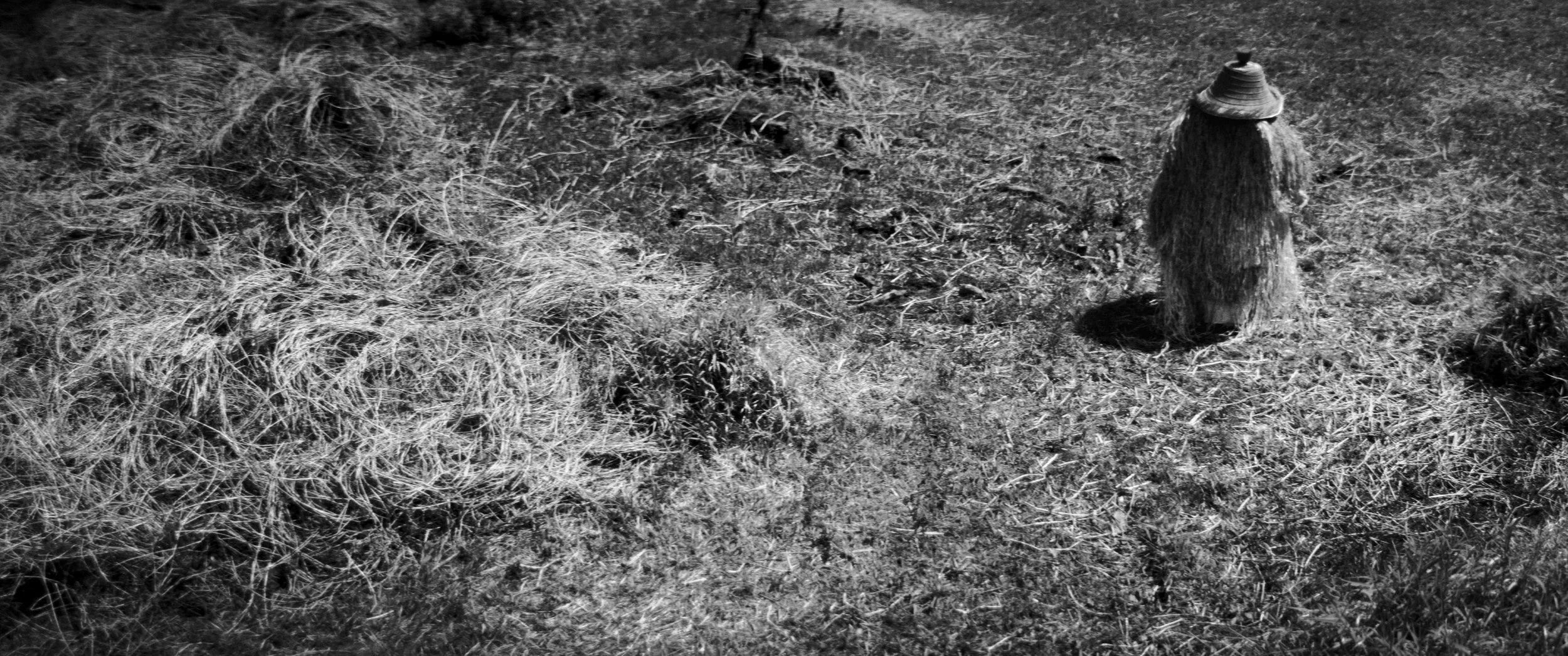 Business cards-9.jpg