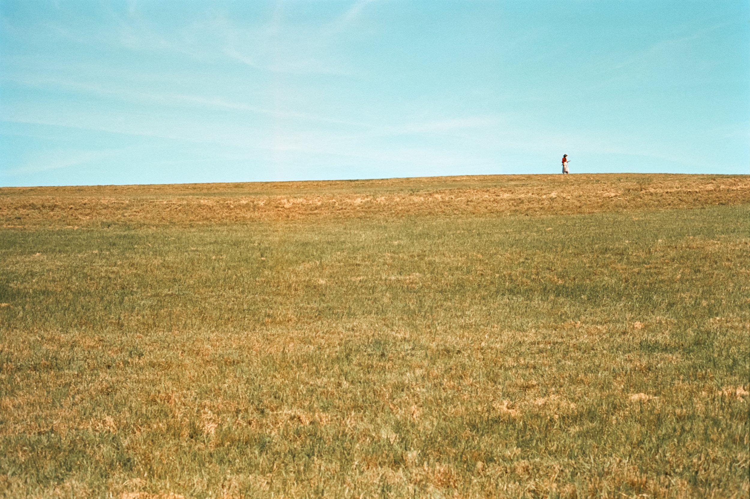 Taking it all in-1.jpg