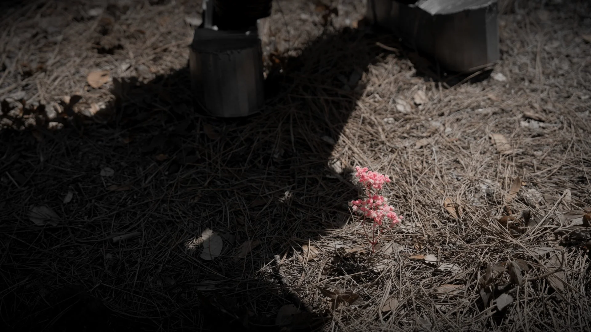 Rusty Still 6_1.8.1.JPG